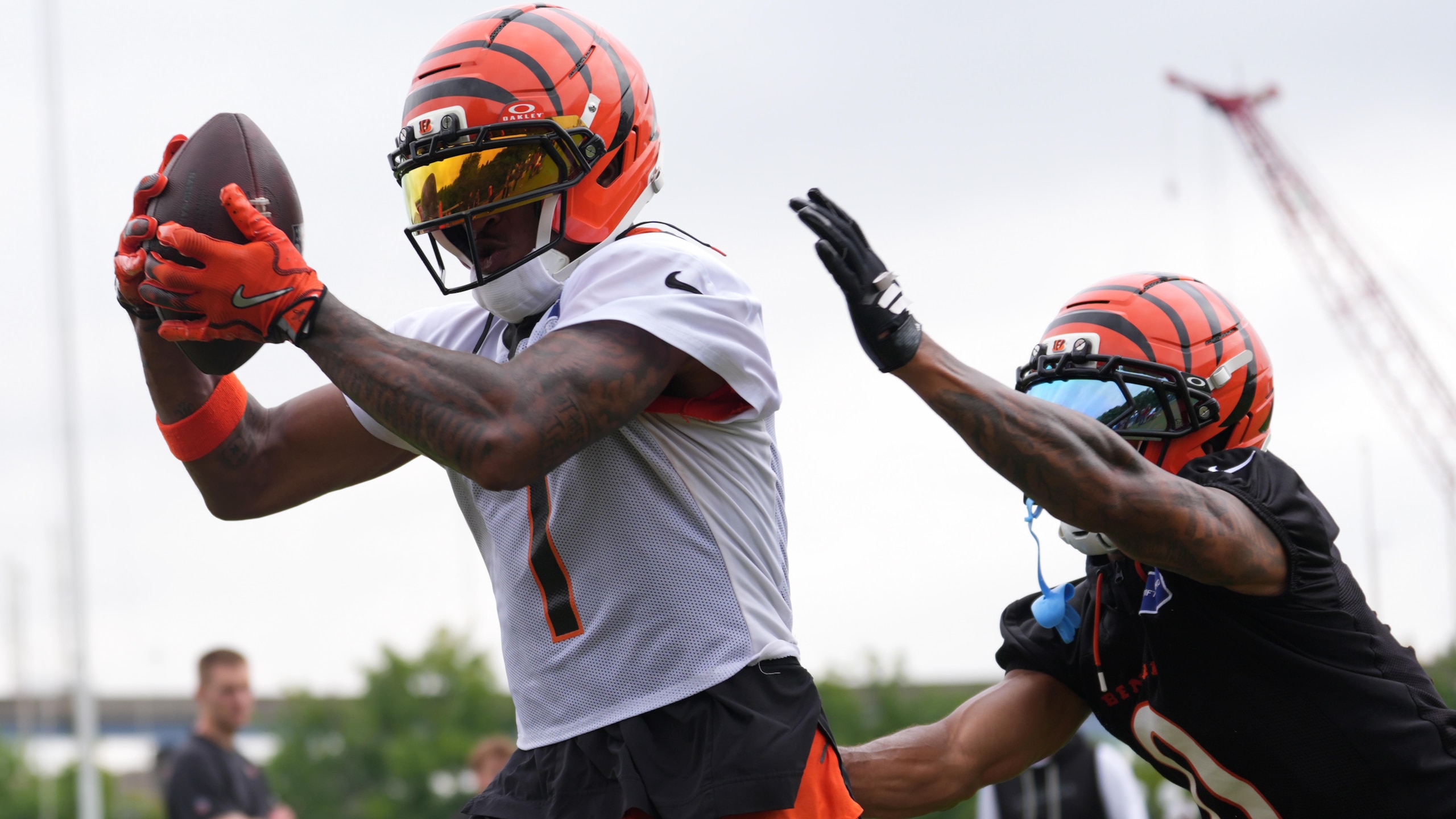 Bengals Camp Football