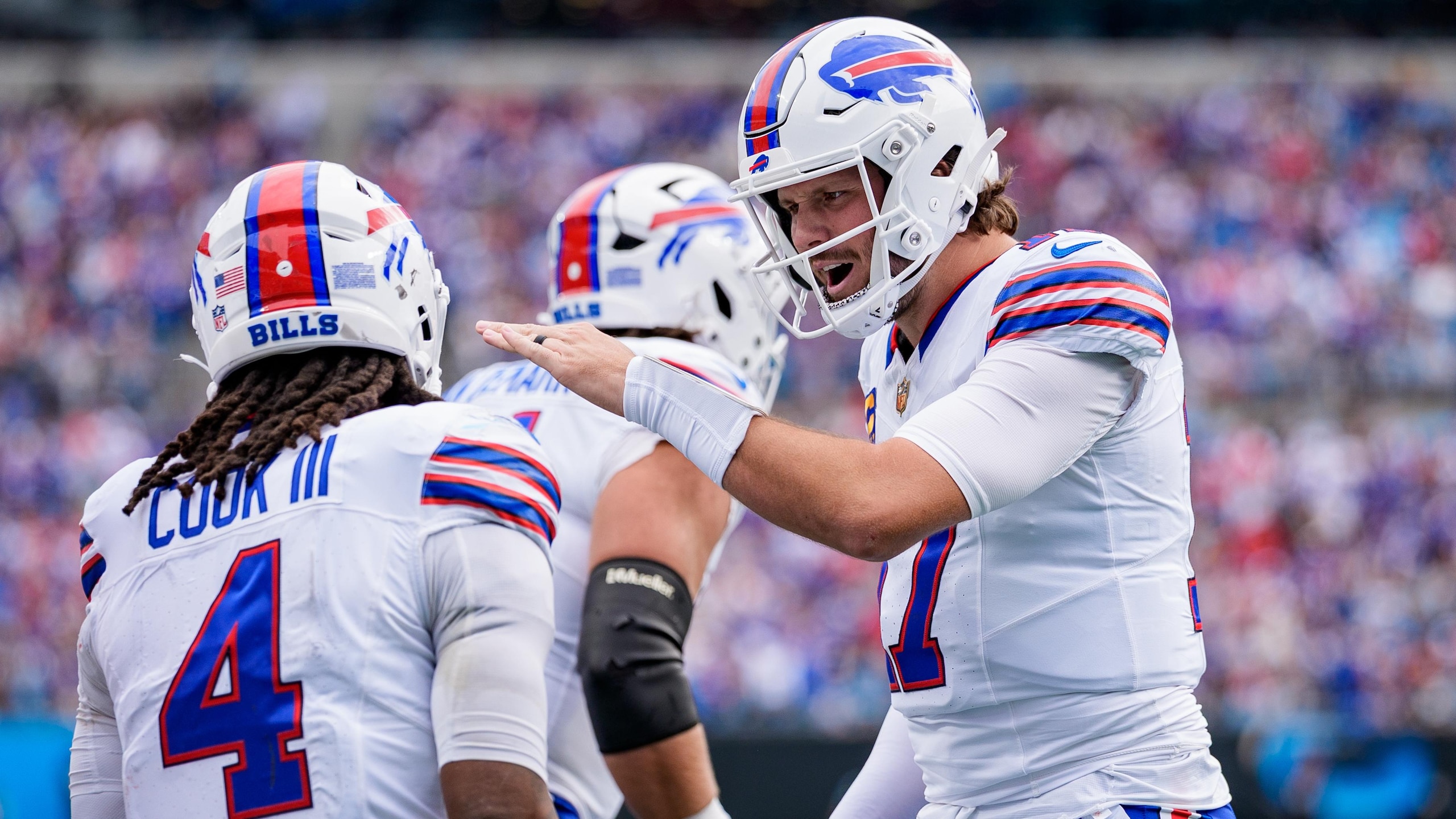 Bills Panthers Football
