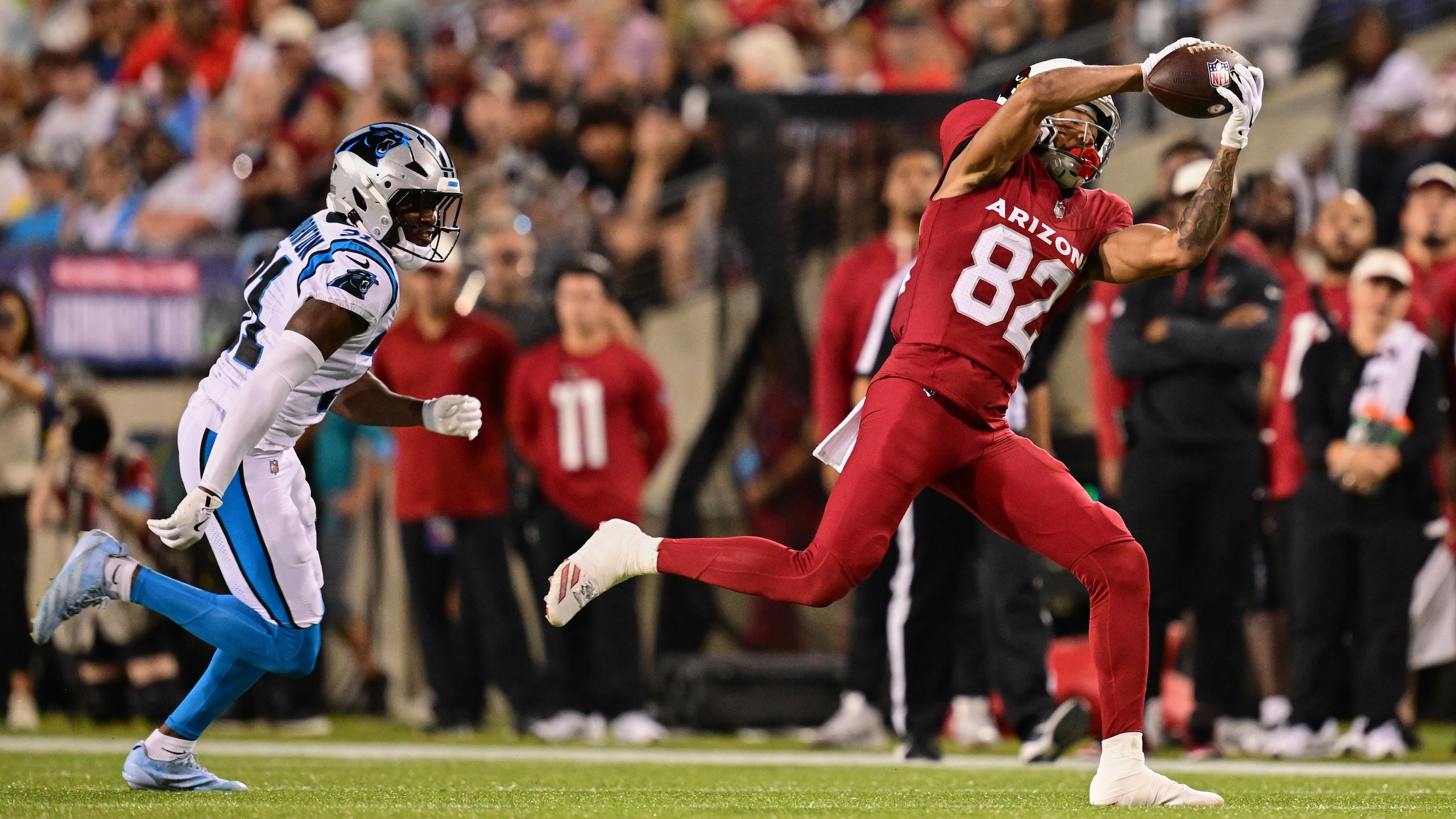 Panthers Cardinals Football