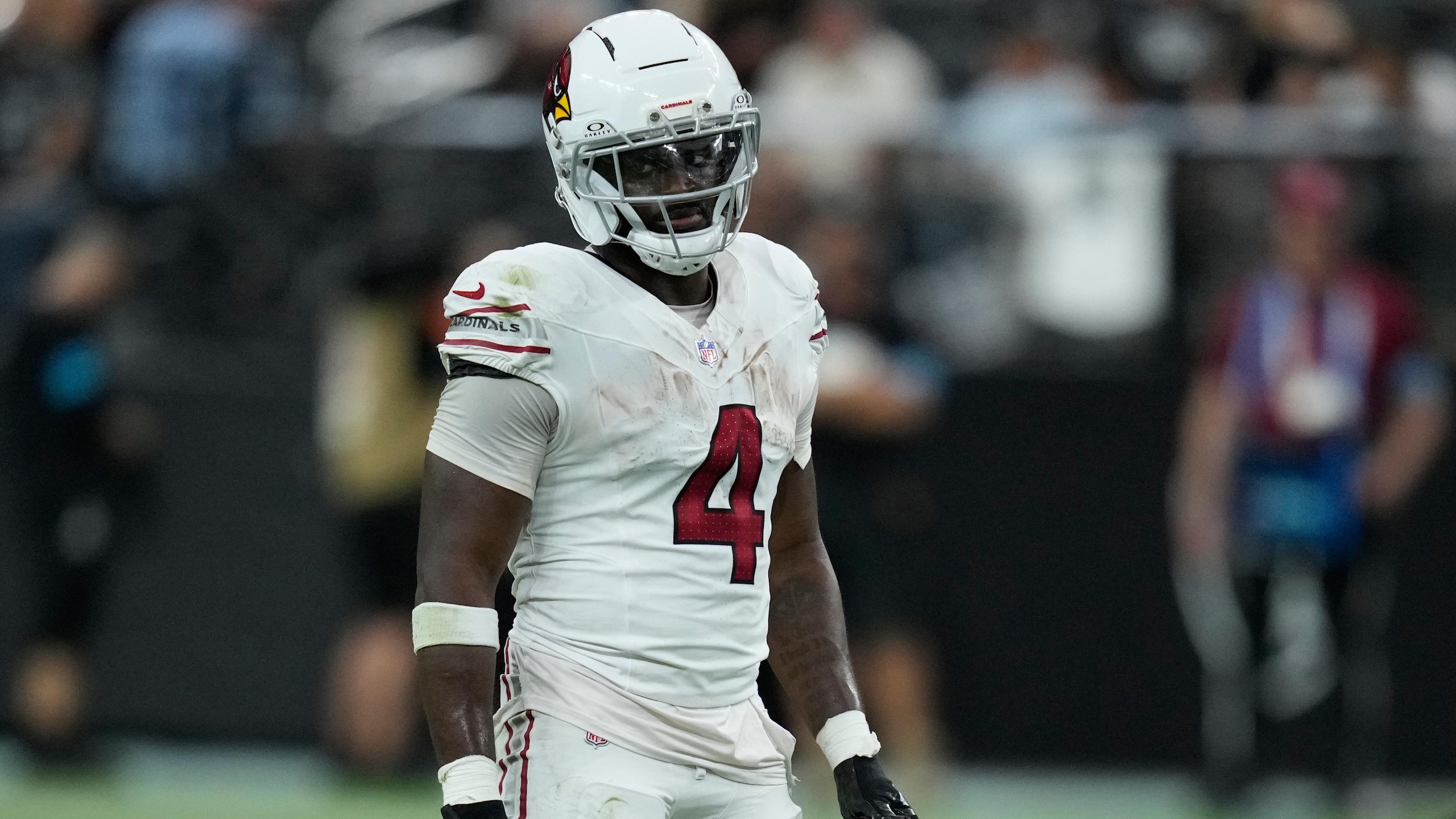 Cardinals Raiders Football