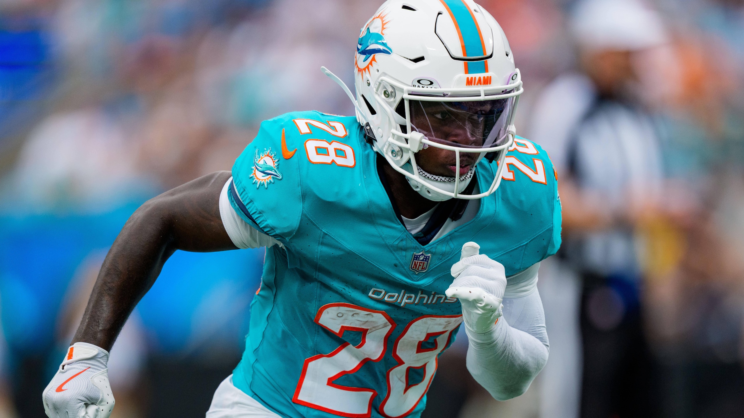 Dolphins Panthers Football