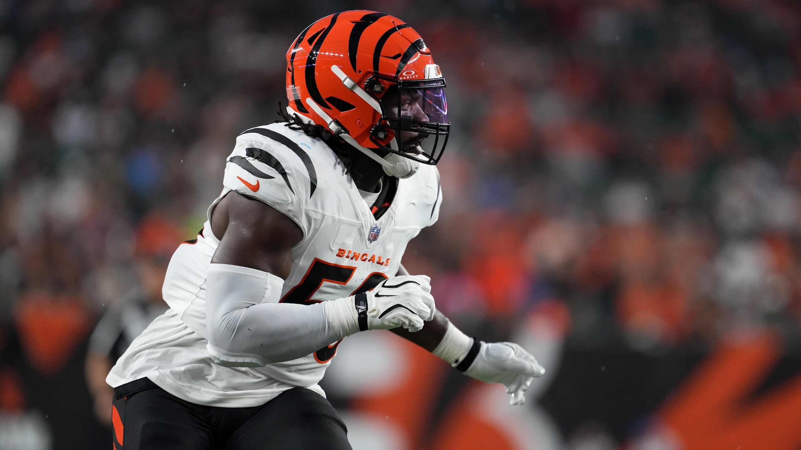 Lions Bengals Football