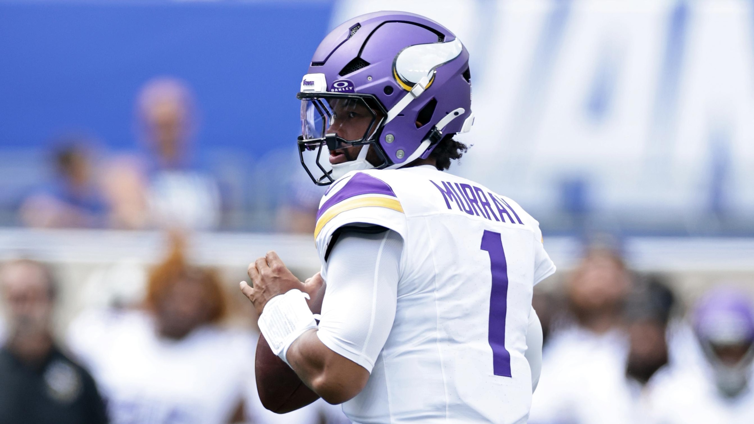 Vikings Giants Football