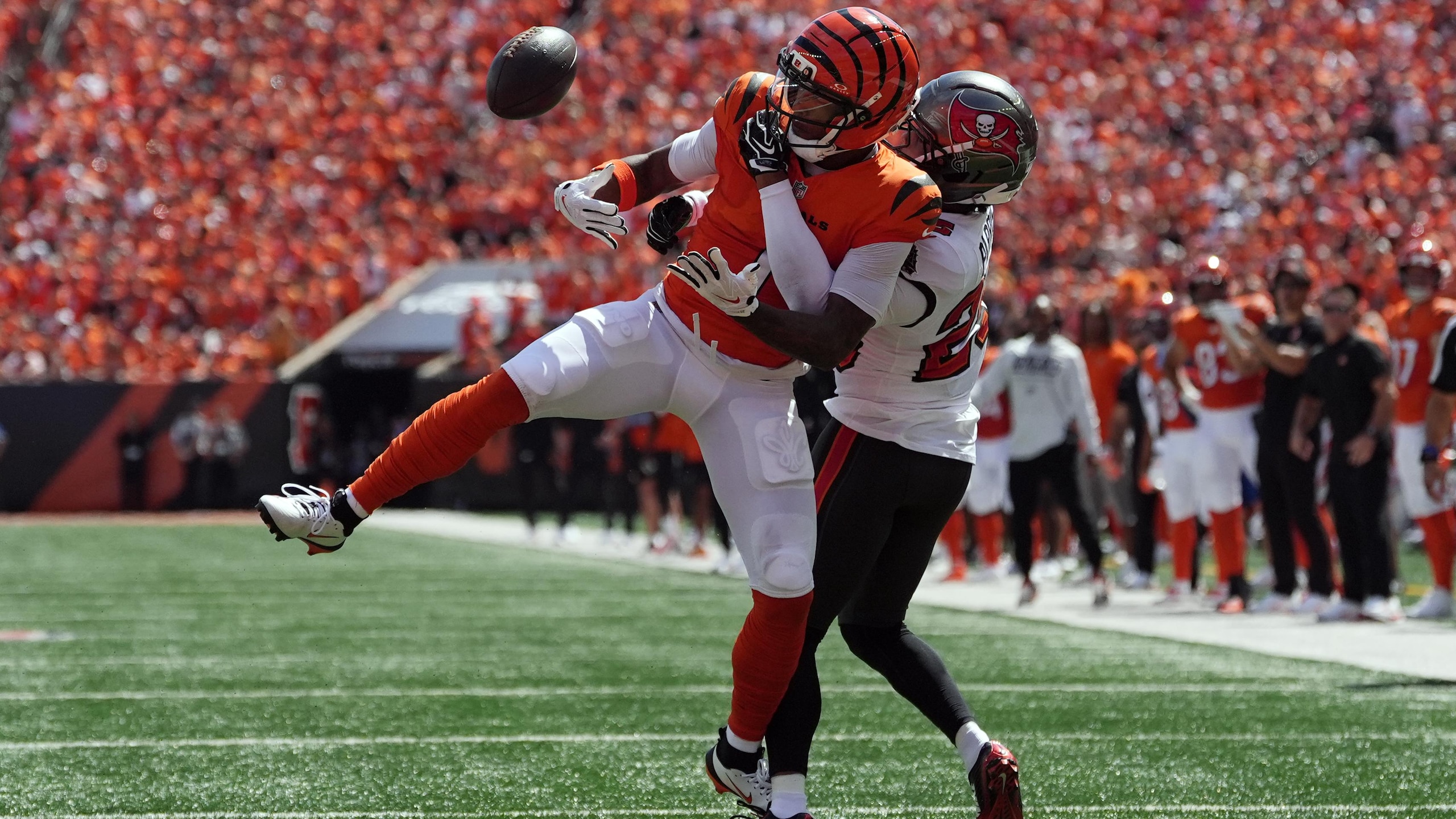 Buccaneers Bengals Football