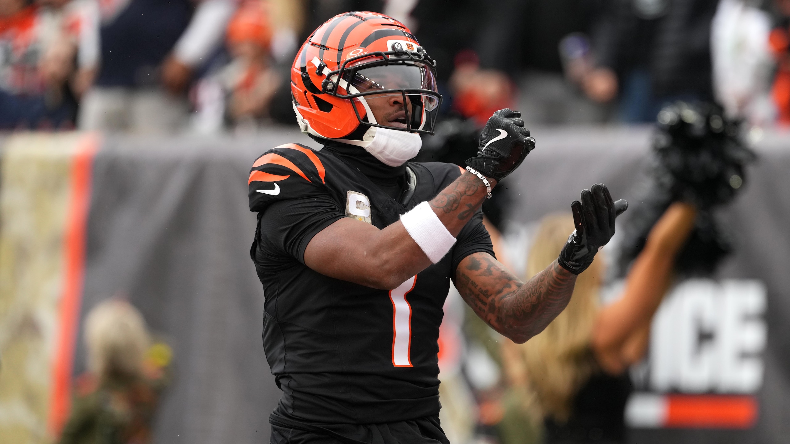 Bears Bengals Football