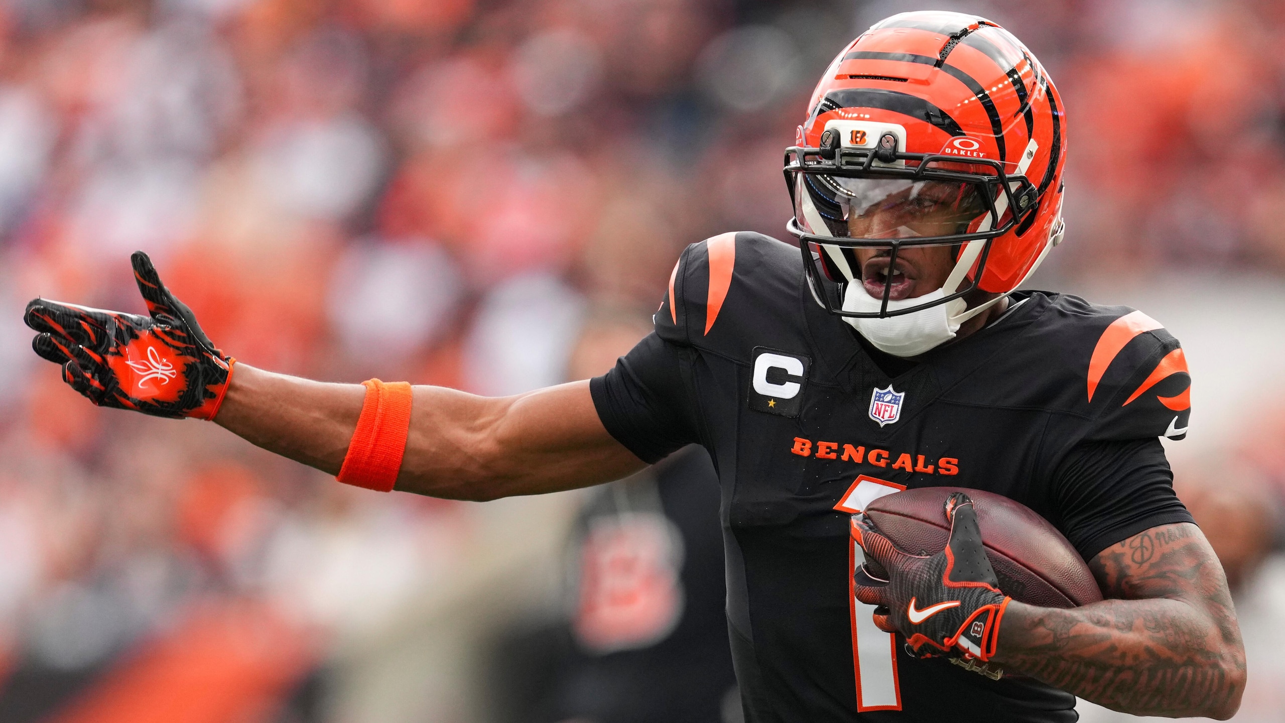 Cardinals Bengals Football