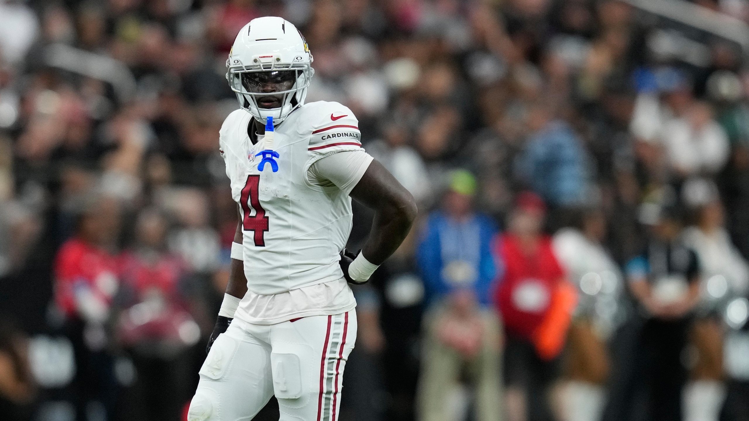 Cardinals Raiders Football