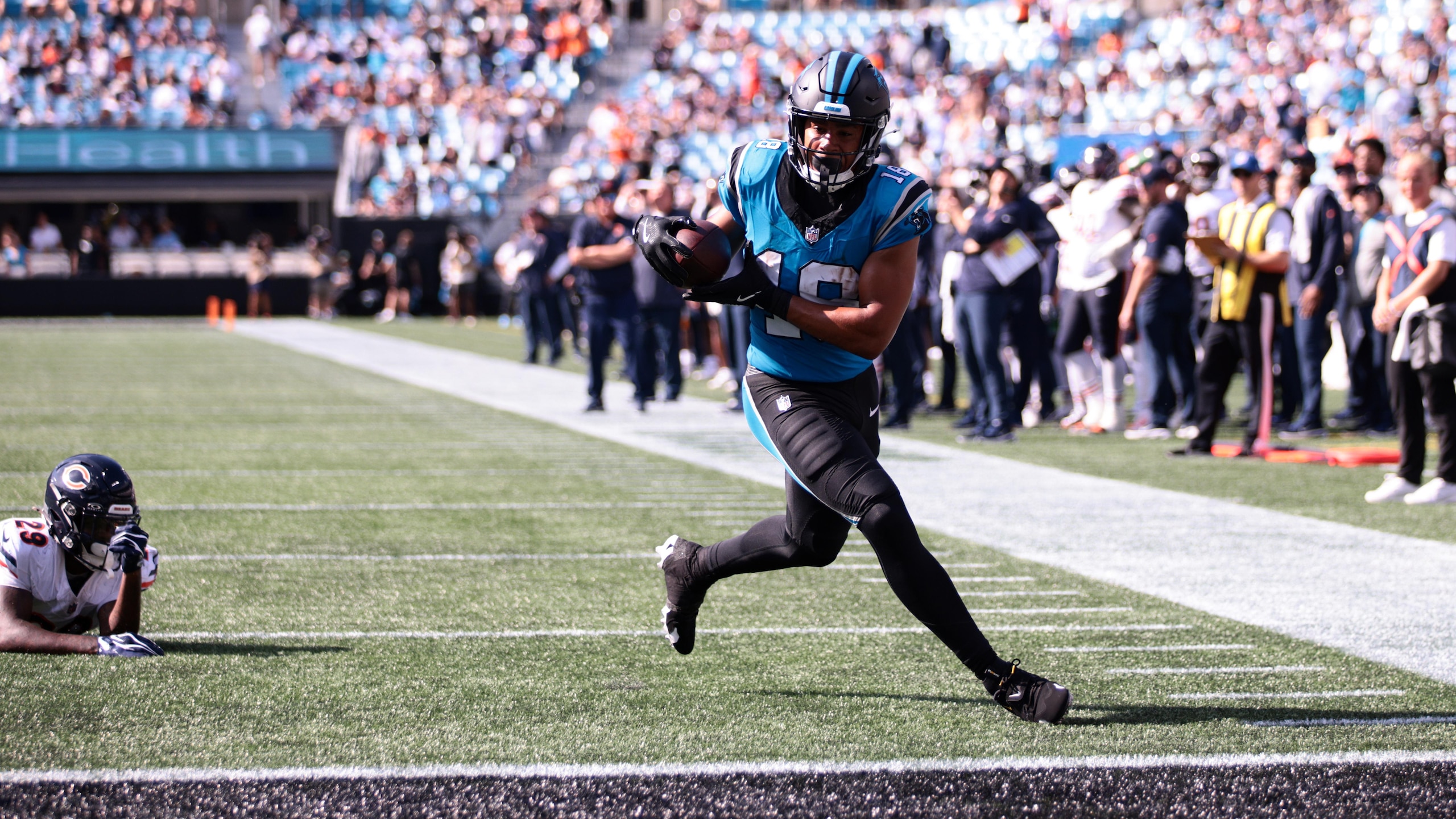 Bears Panthers Football