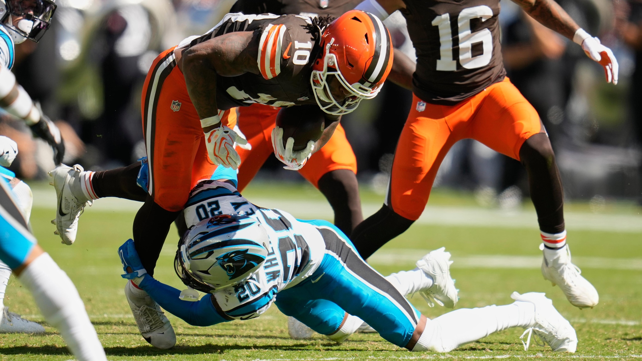 Panthers Browns Football