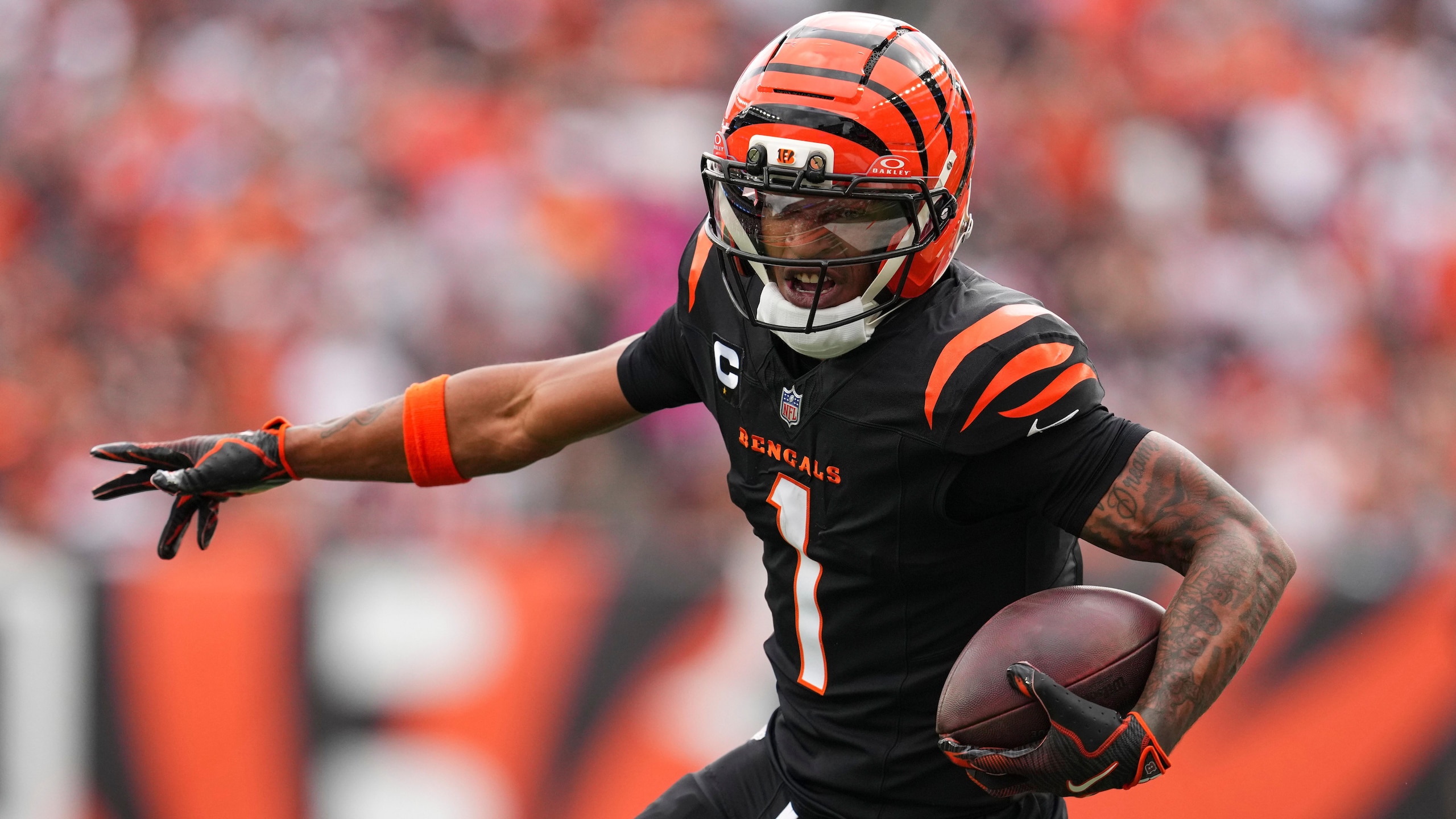 Cardinals Bengals Football
