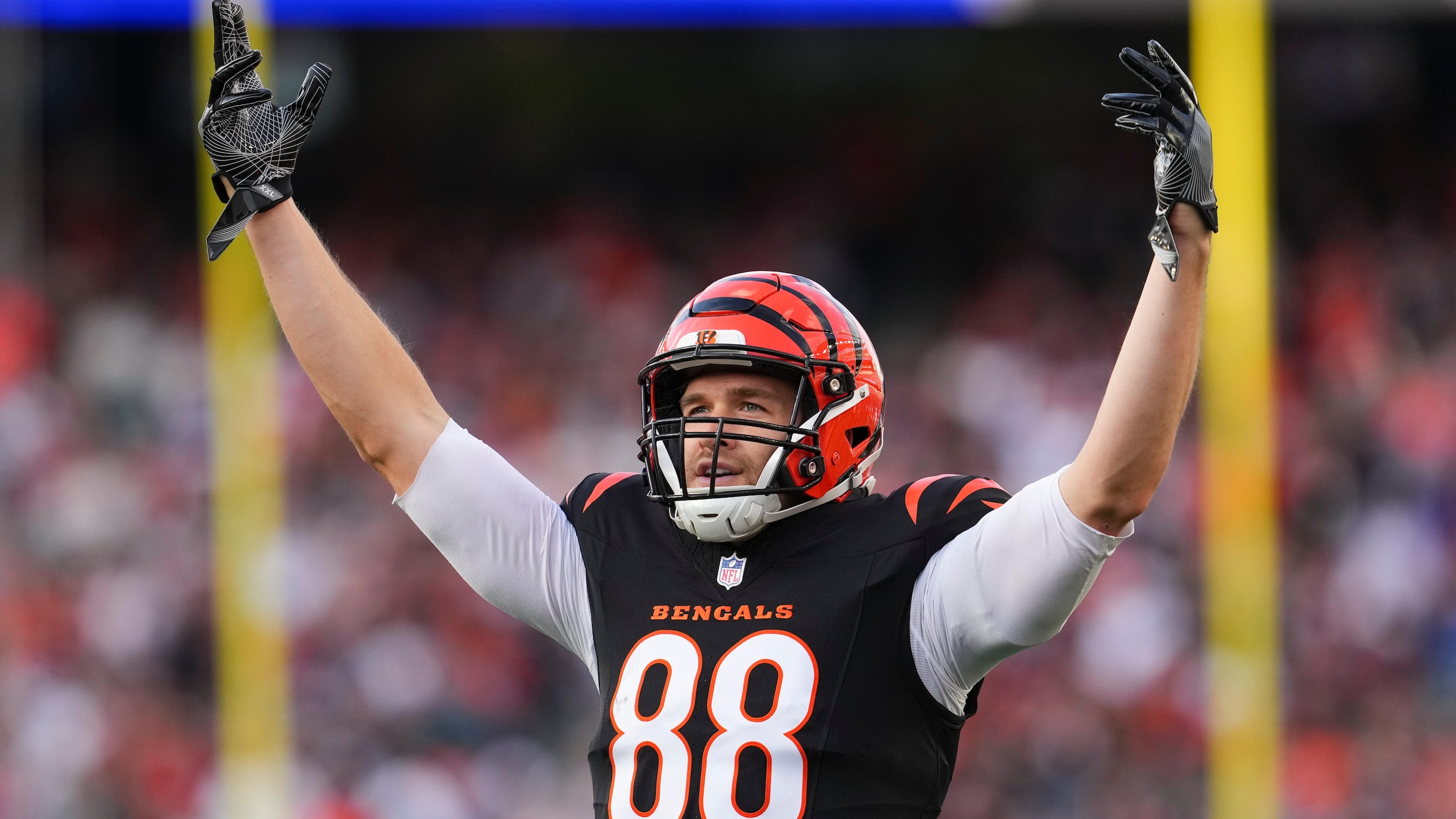 Cardinals Bengals Football
