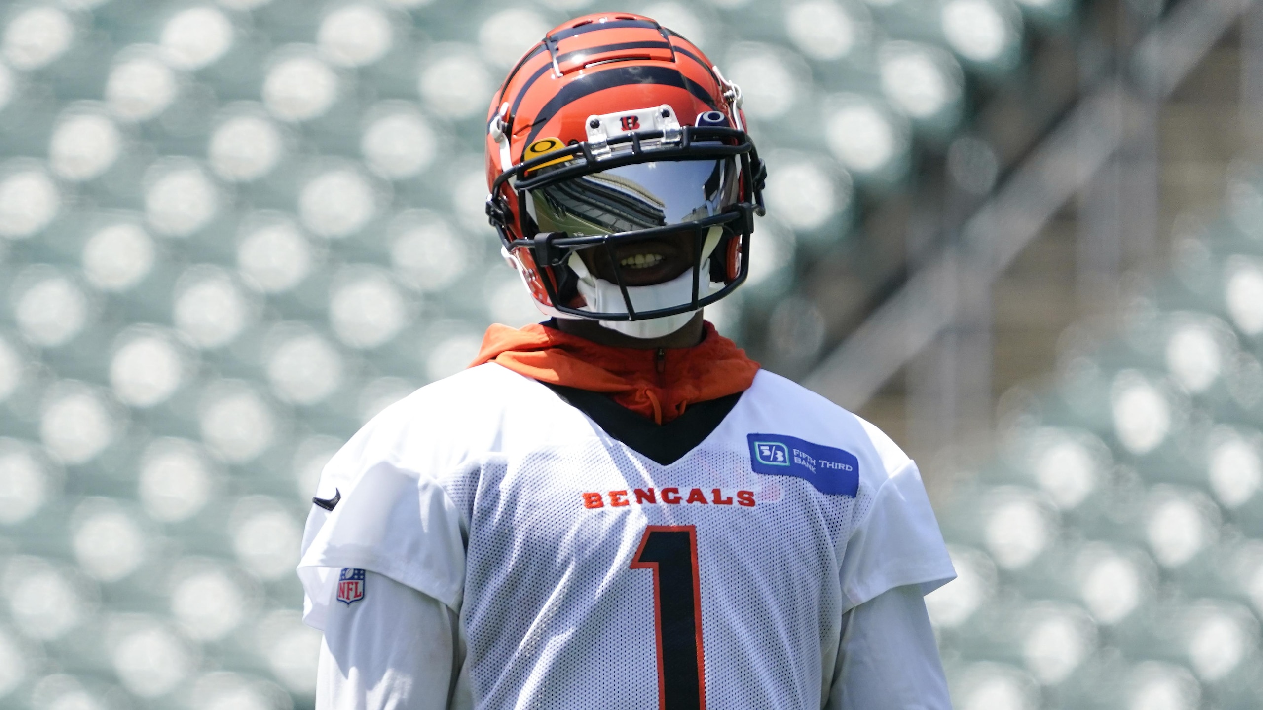 NFL Cincinnati Bengals