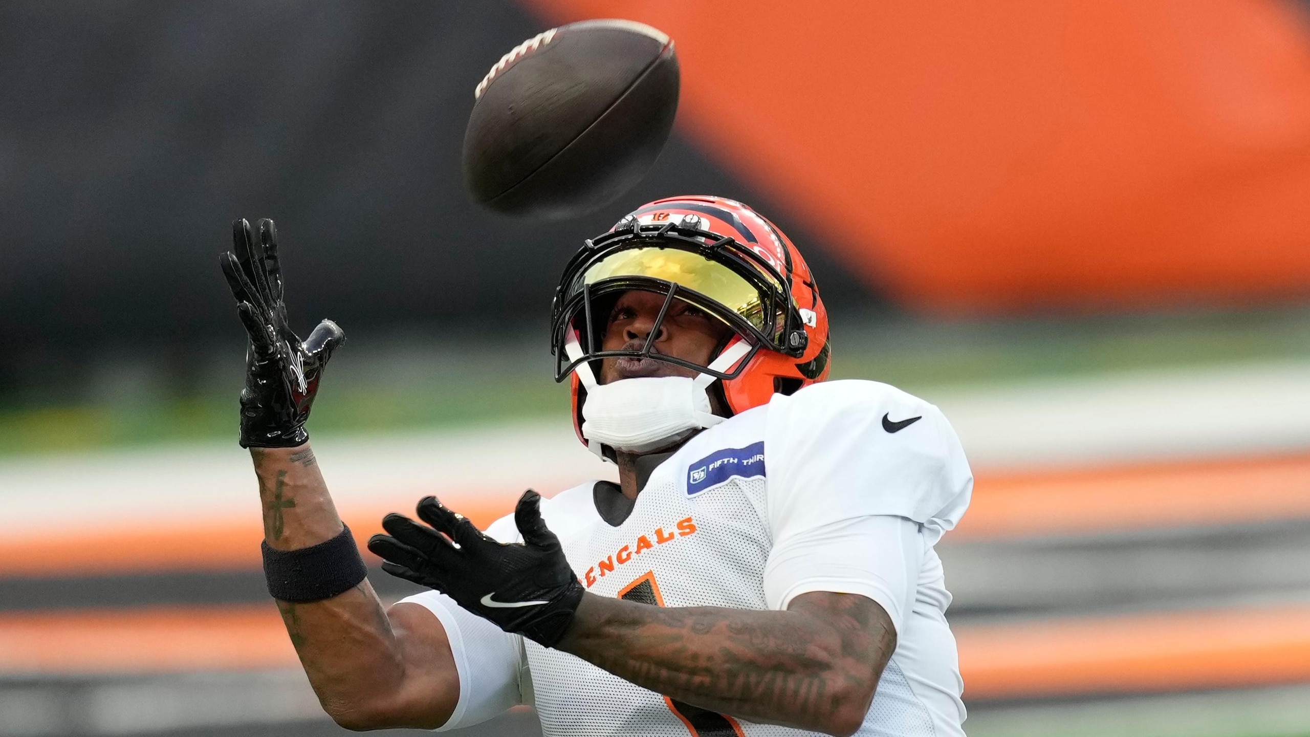 Bengals Football