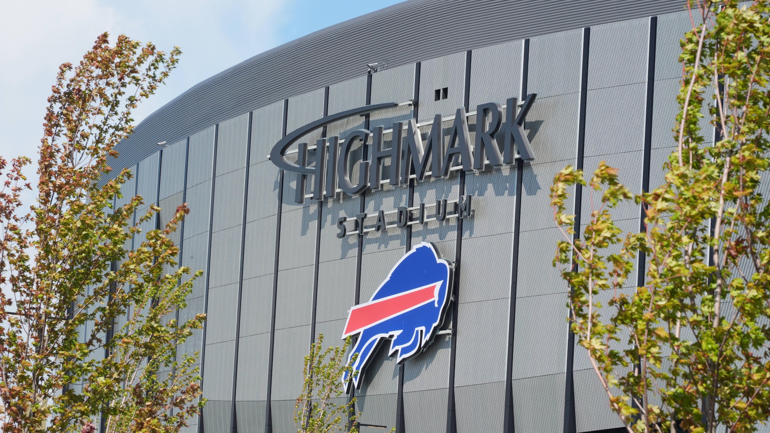 Steelers Bills Football