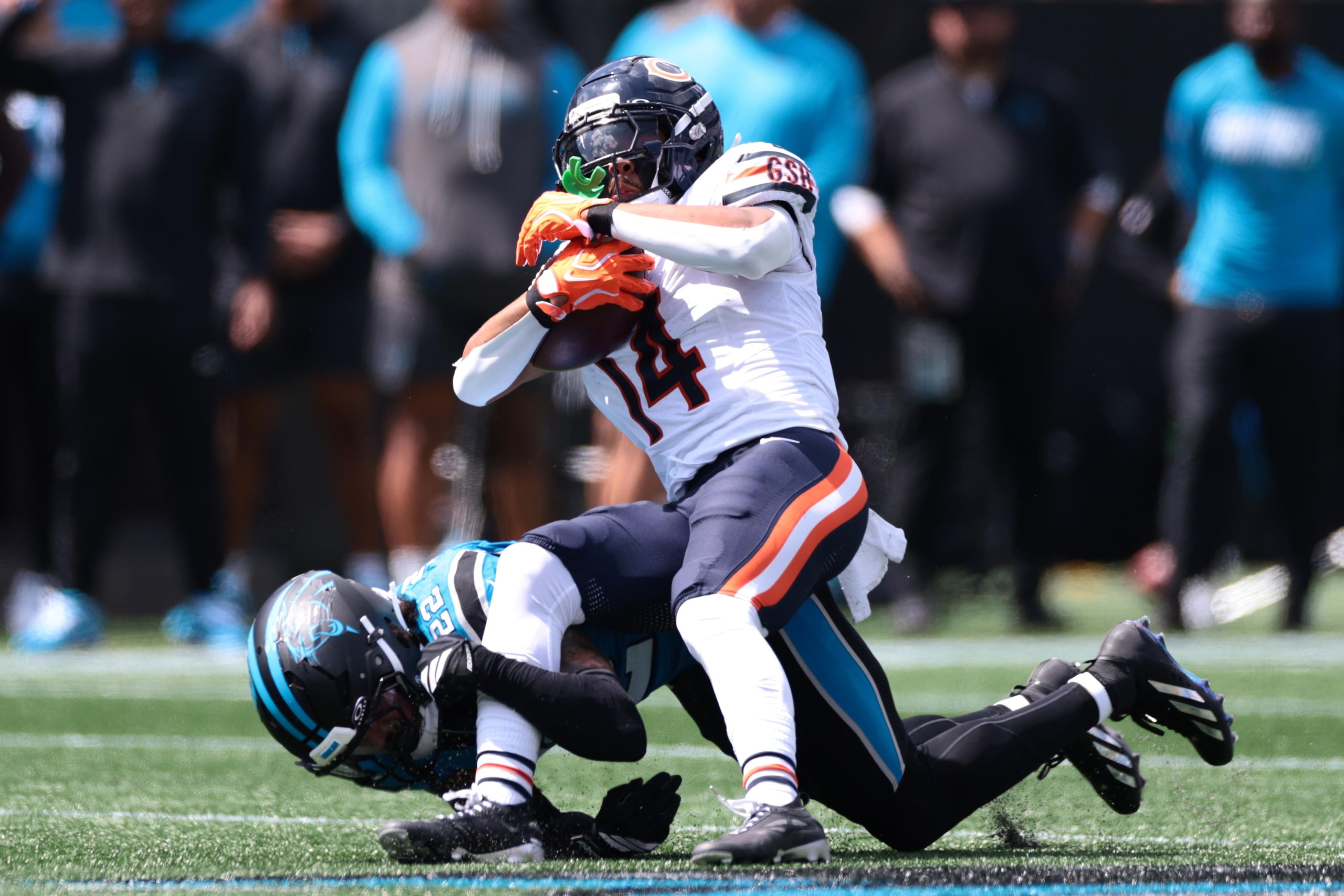 Bears Panthers Football