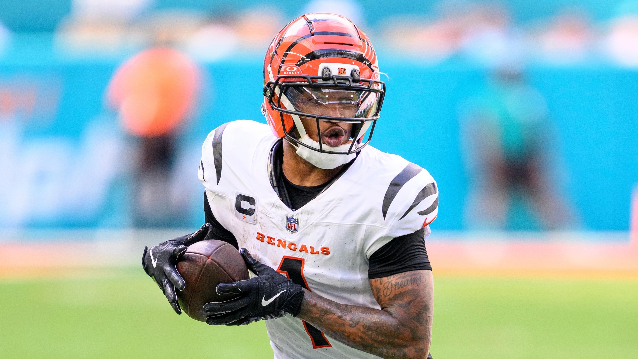 Bengals Dolphins Football