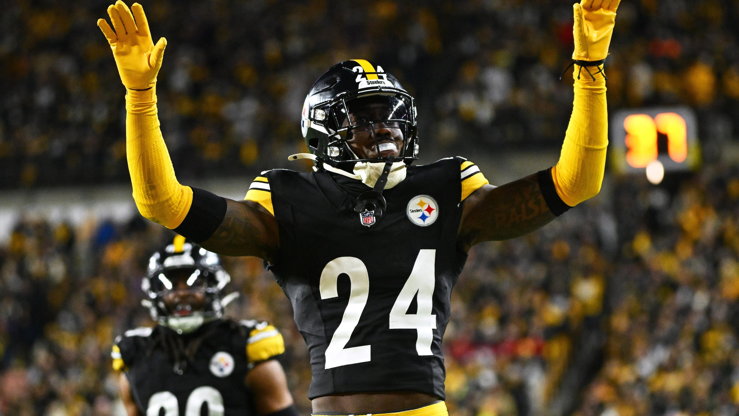 Steelers Porter Football