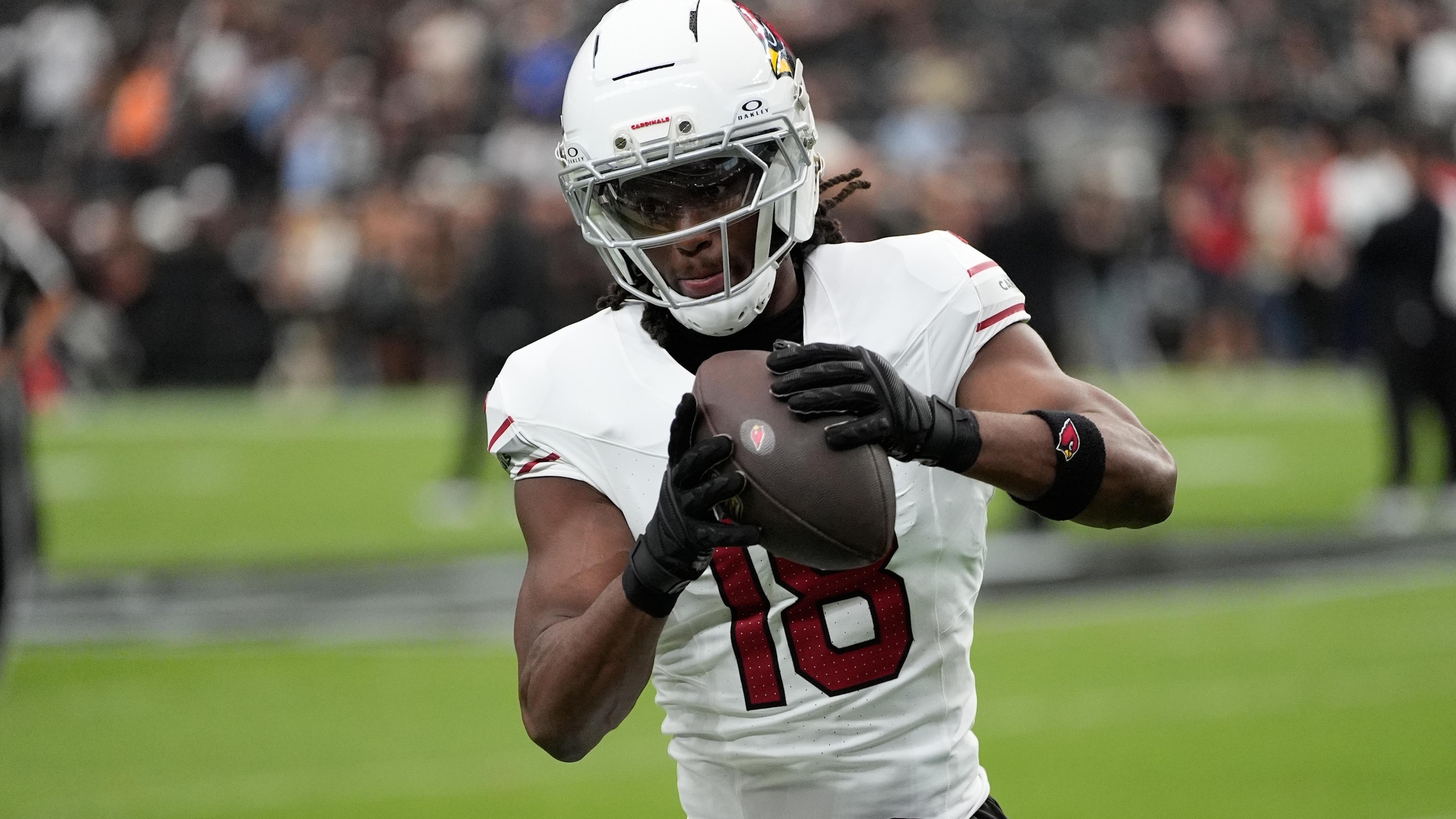 Cardinals Raiders Football