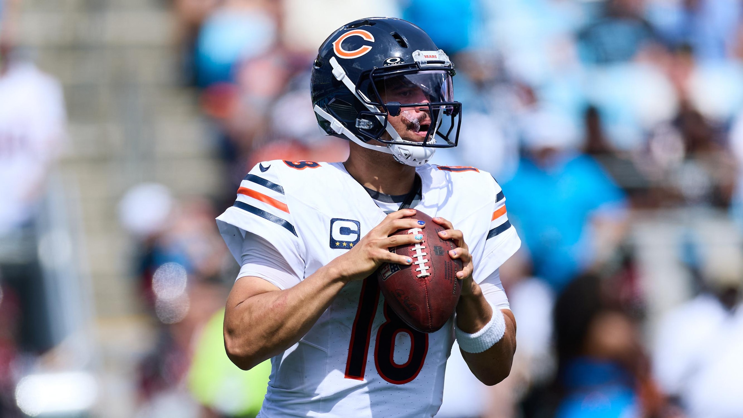Bears Panthers Football