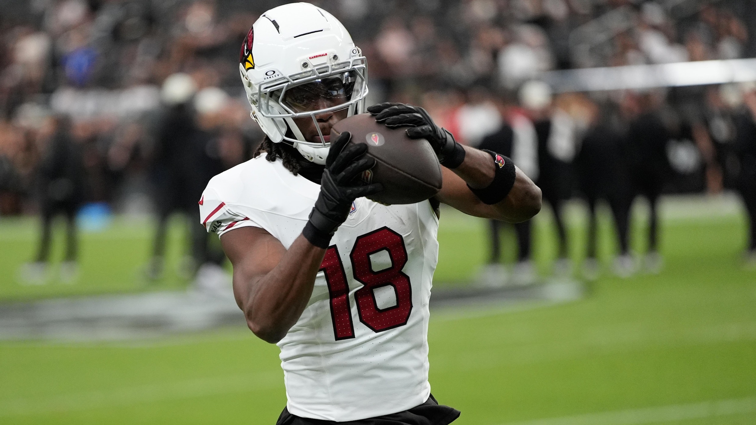 Cardinals Raiders Football
