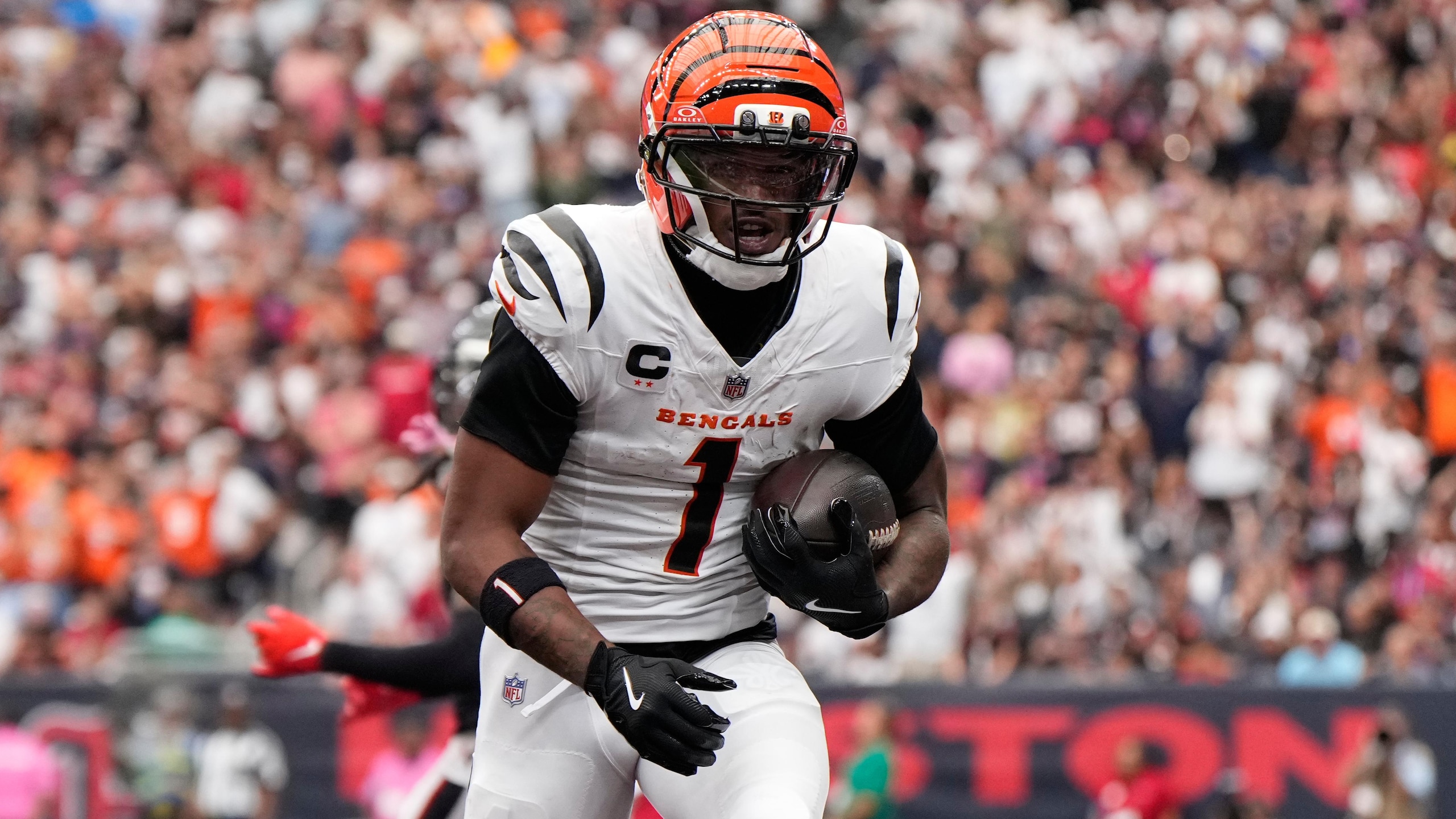 Bengals Texans Football