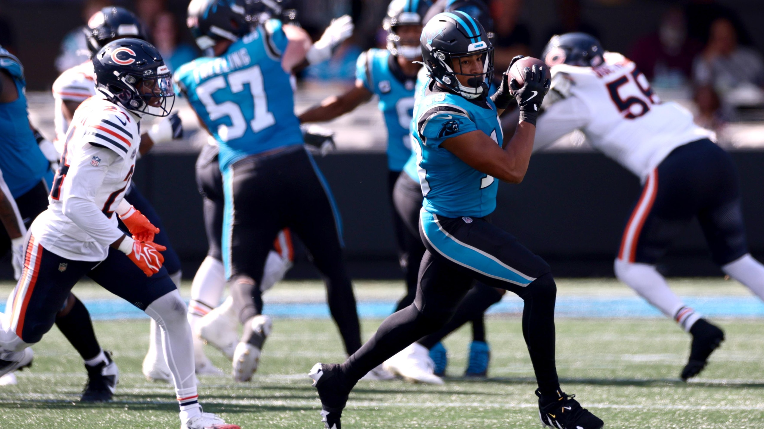 Bears Panthers Football