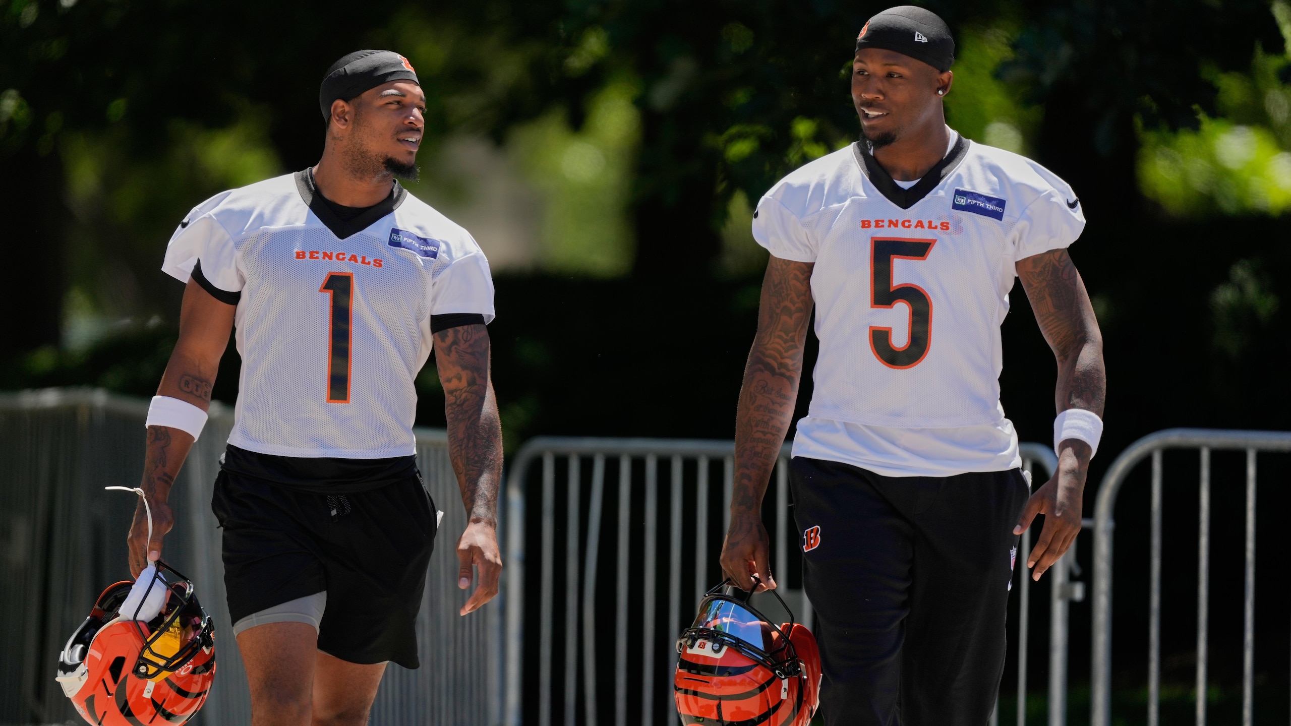 Bengals Football