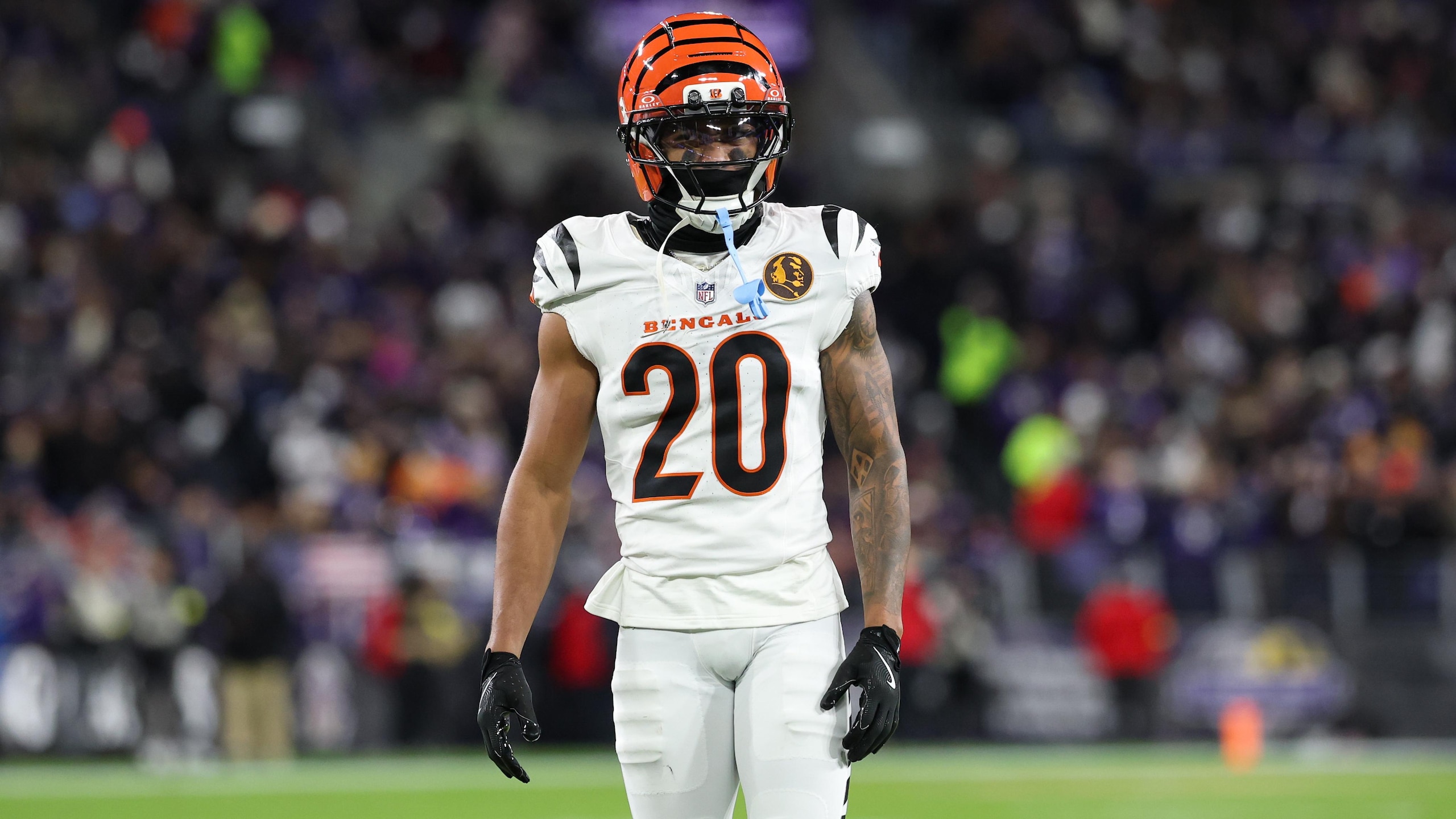 Bengals Ravens Football