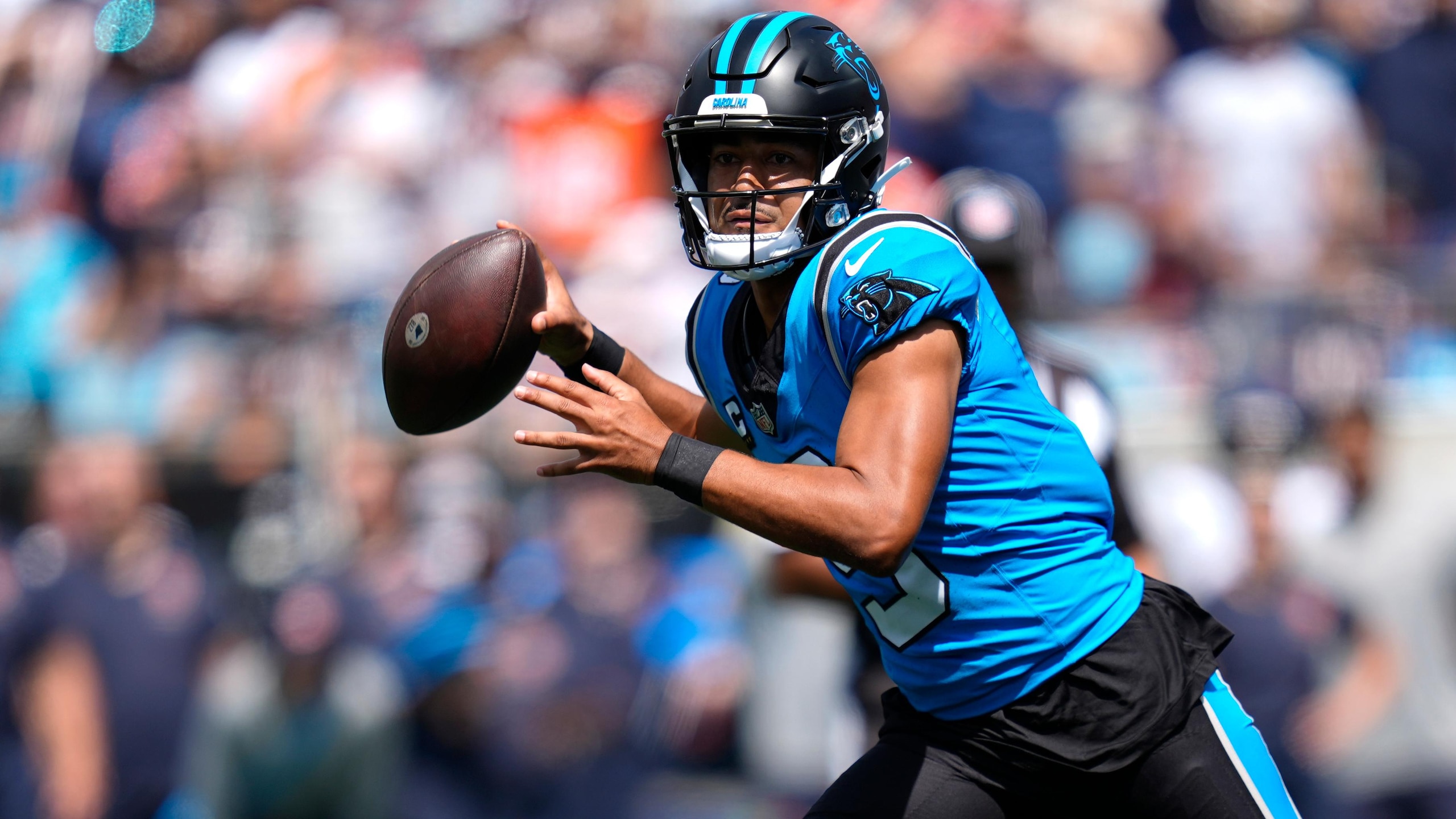 Bears Panthers Football