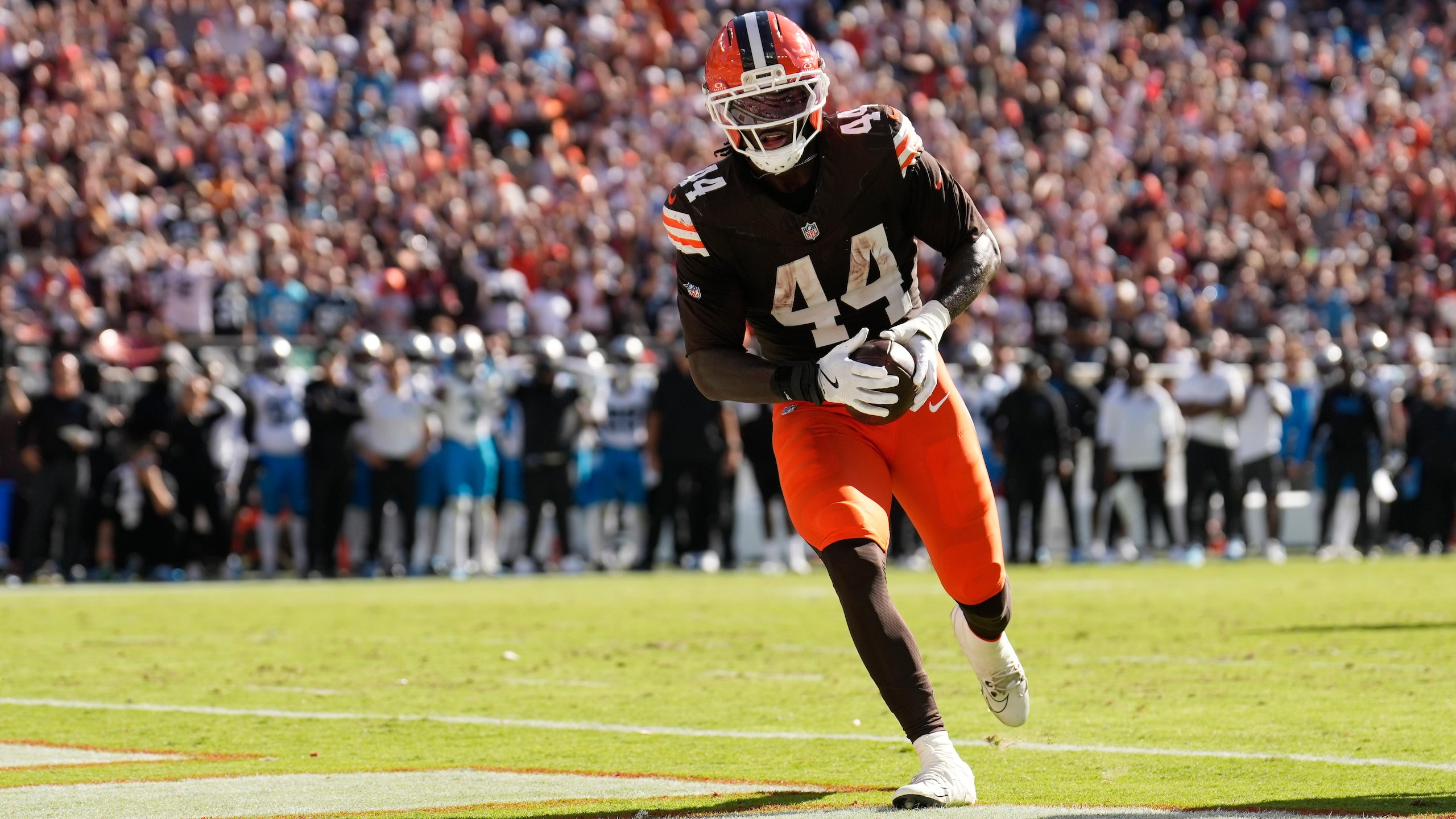 Panthers Browns Football