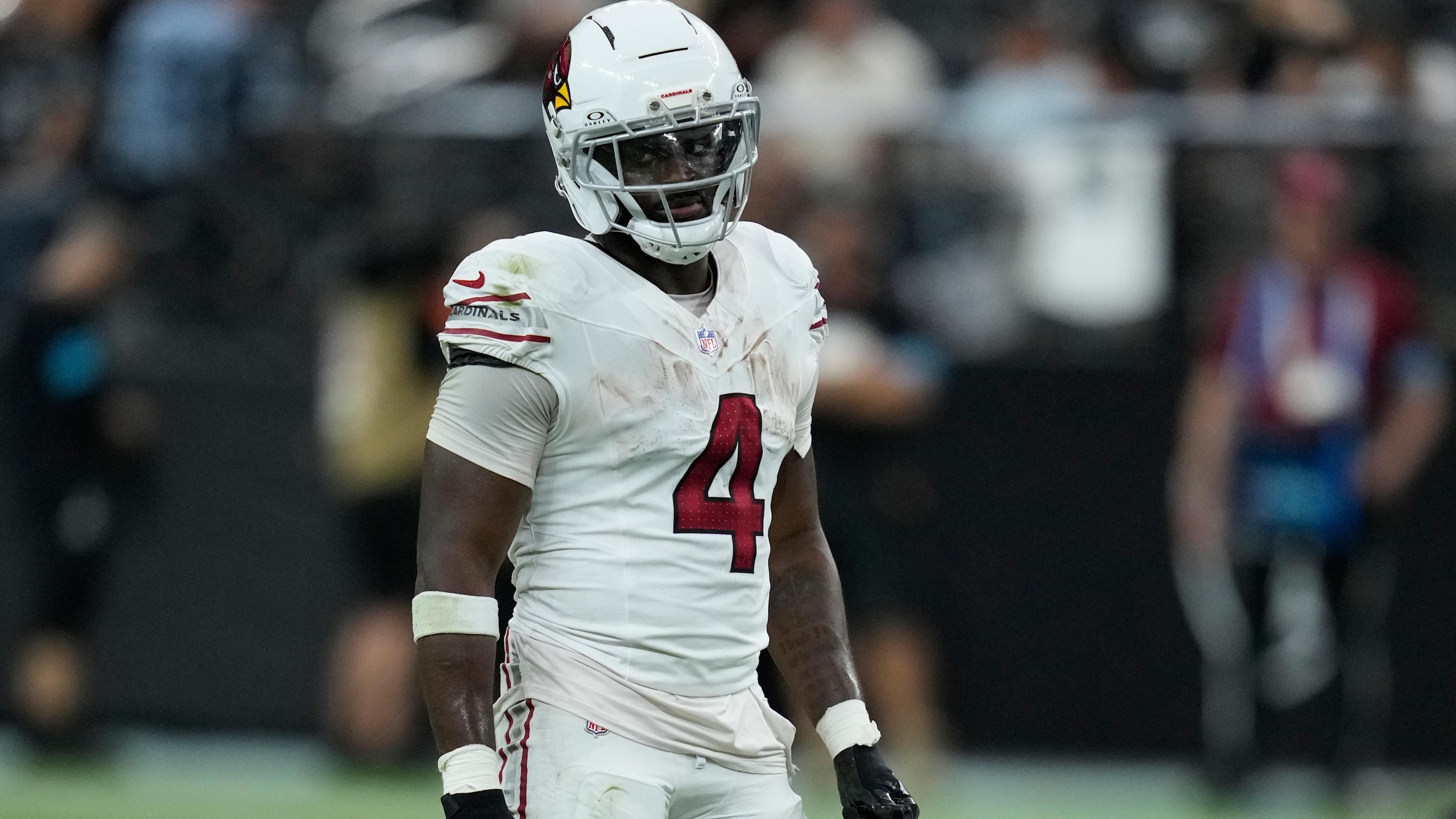 Cardinals Raiders Football