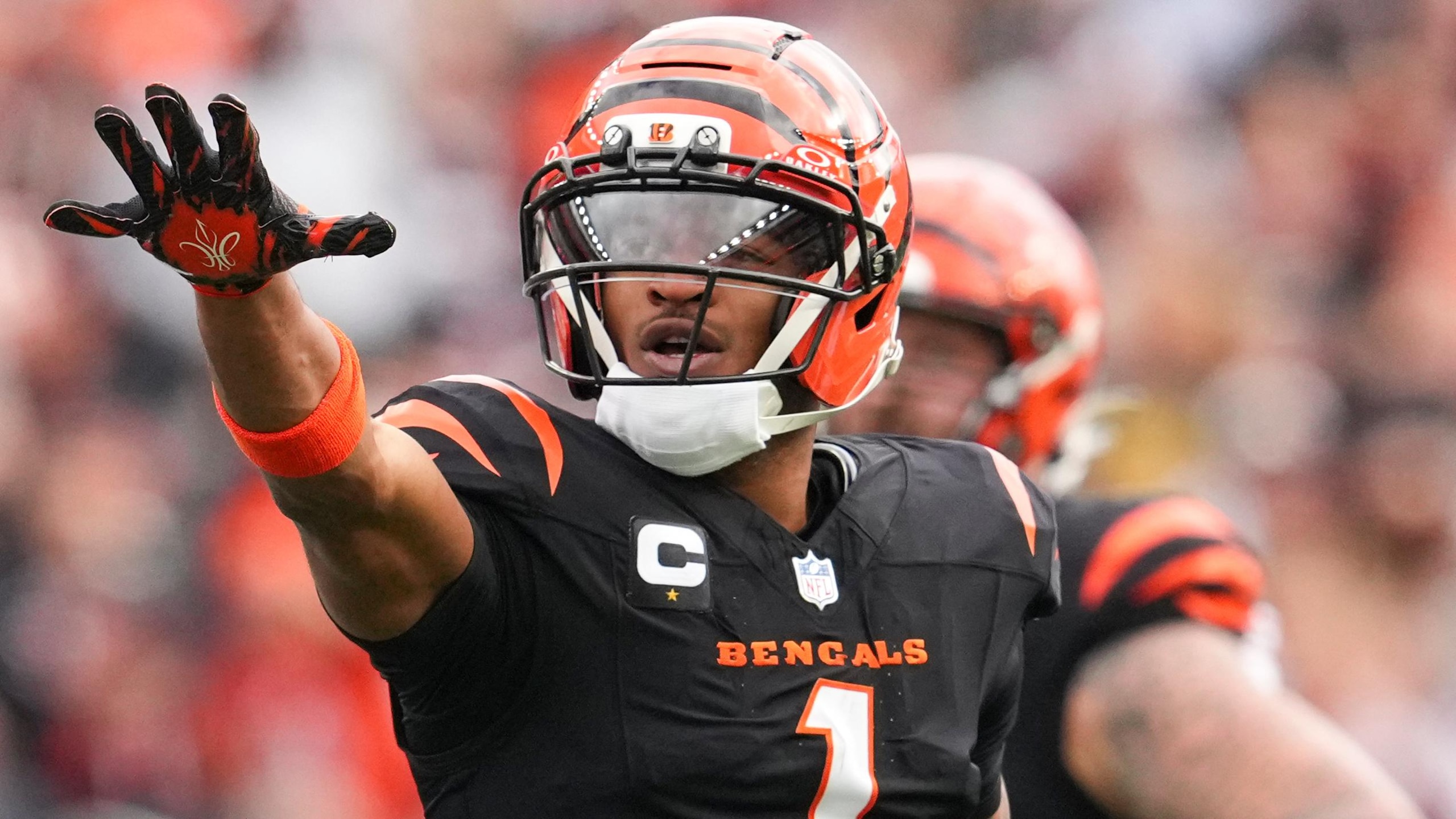 Cardinals Bengals Football