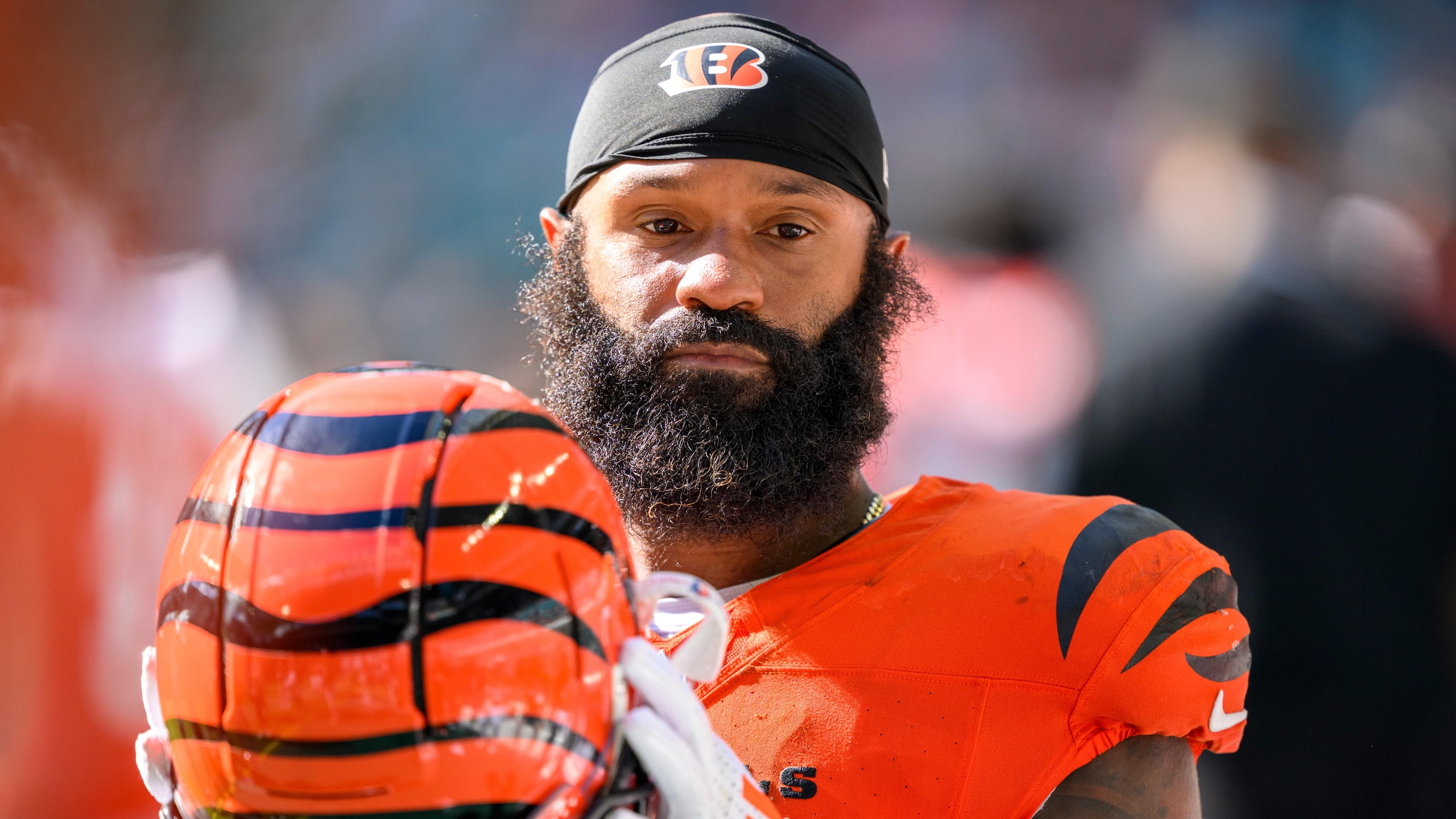 Bengals Dolphins Football