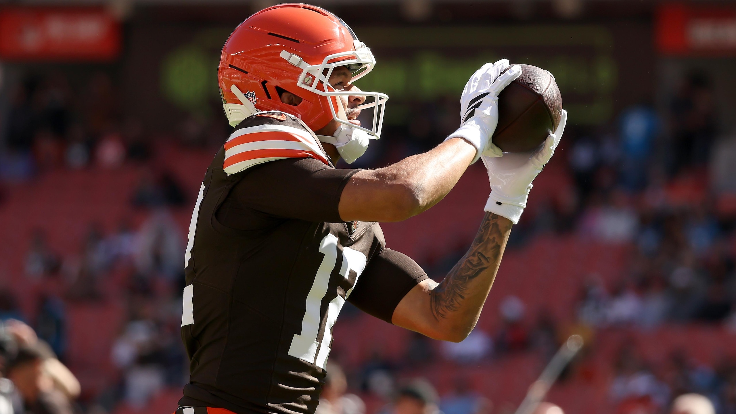 Panthers Browns Football