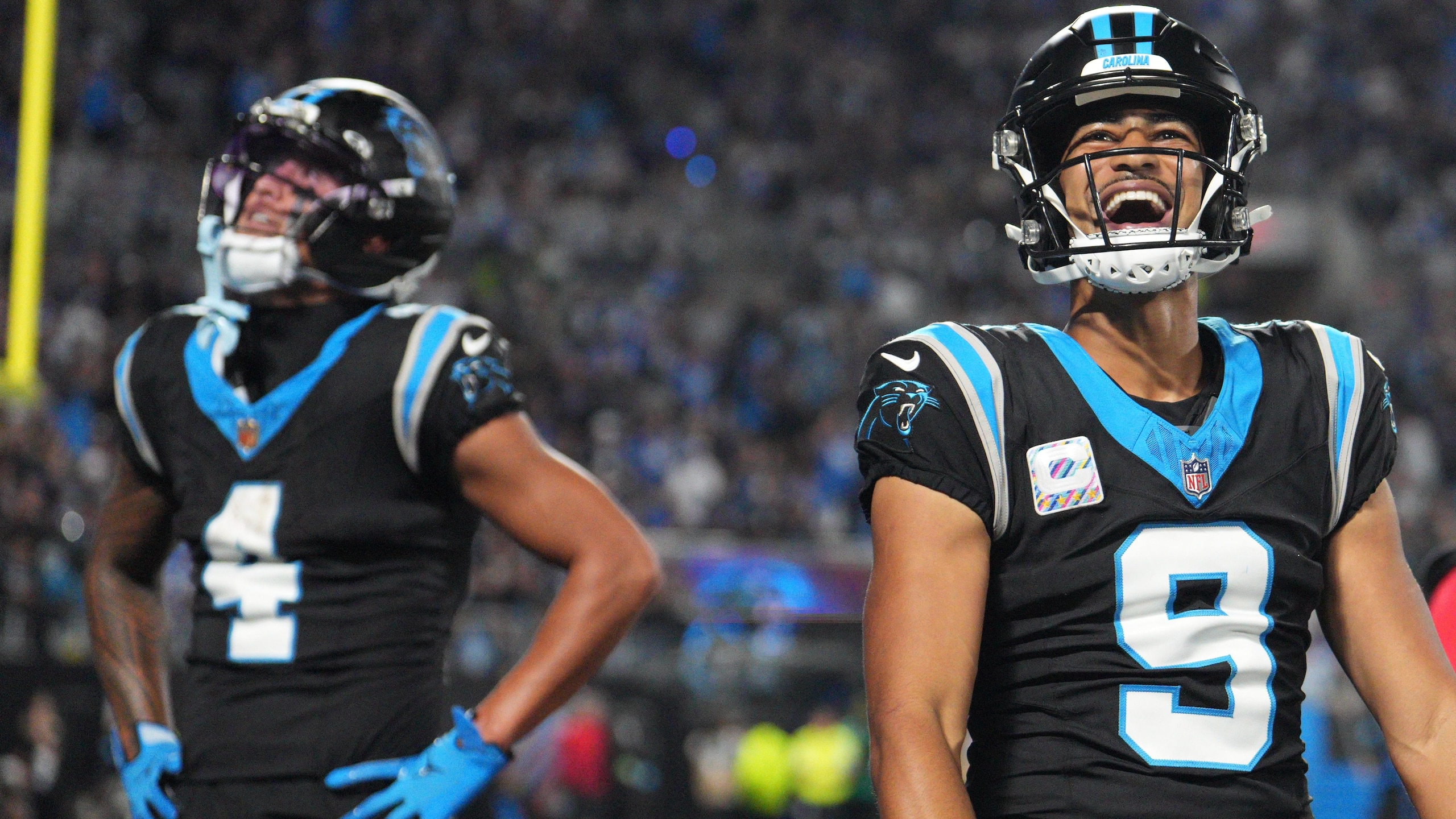 Lions Panthers Football