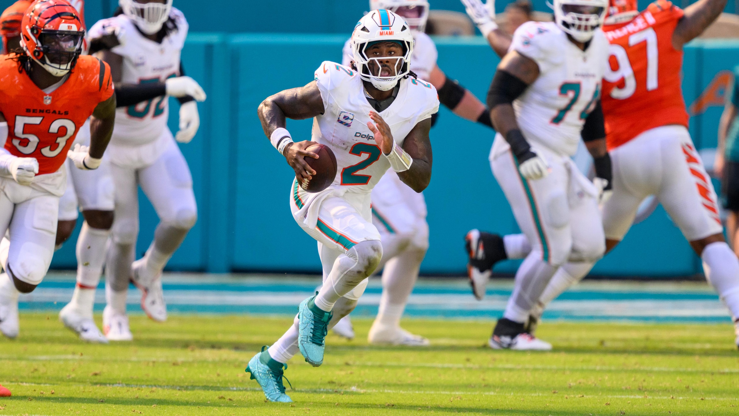 Bengals Dolphins Football