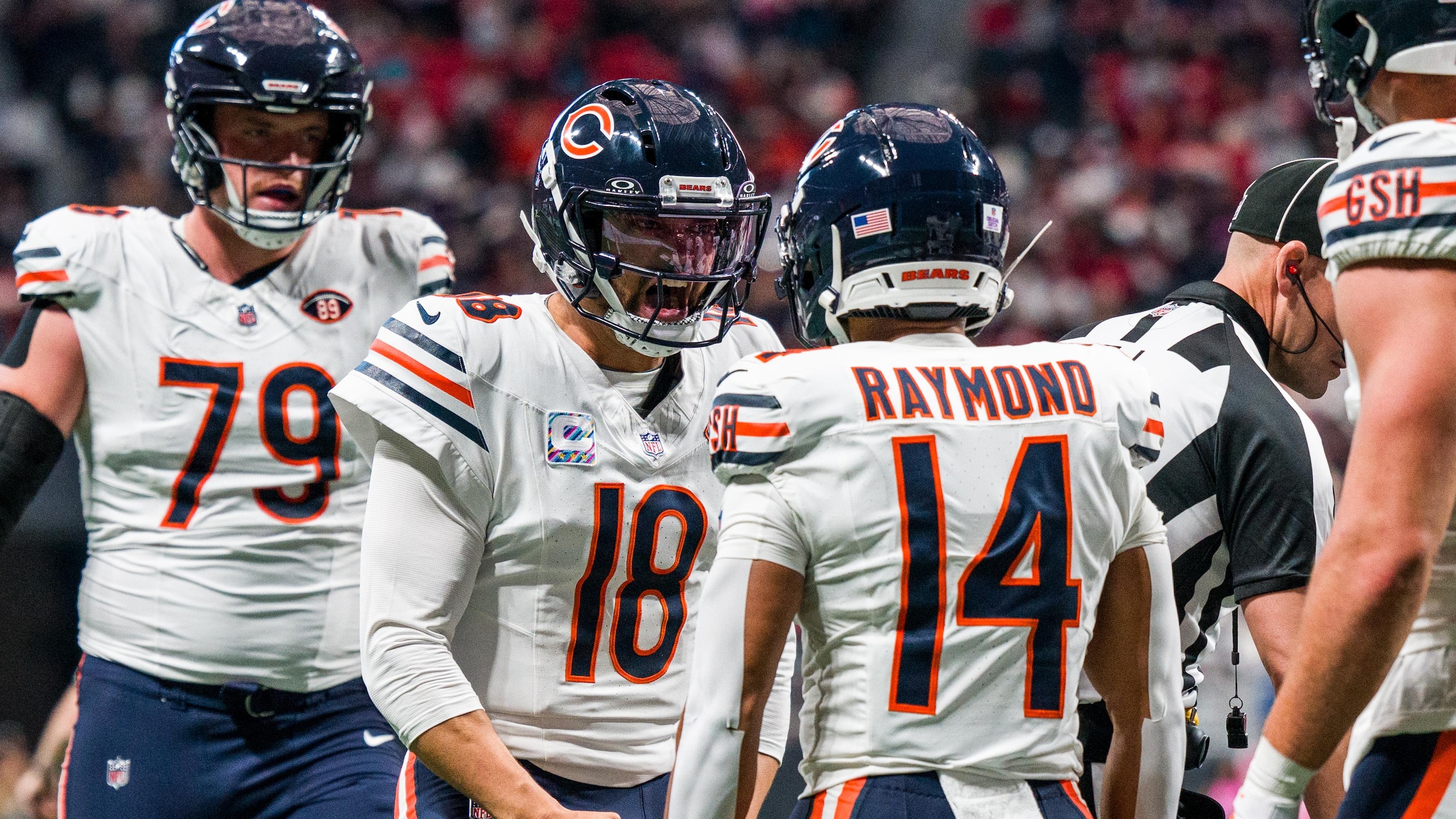 Bears Falcons Football