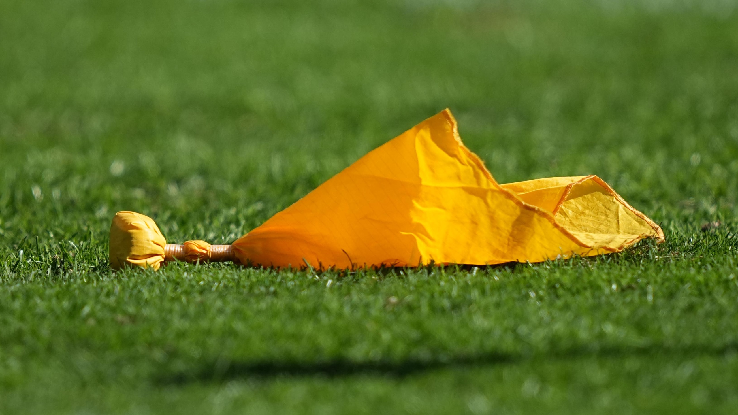 Panthers Eagles Football