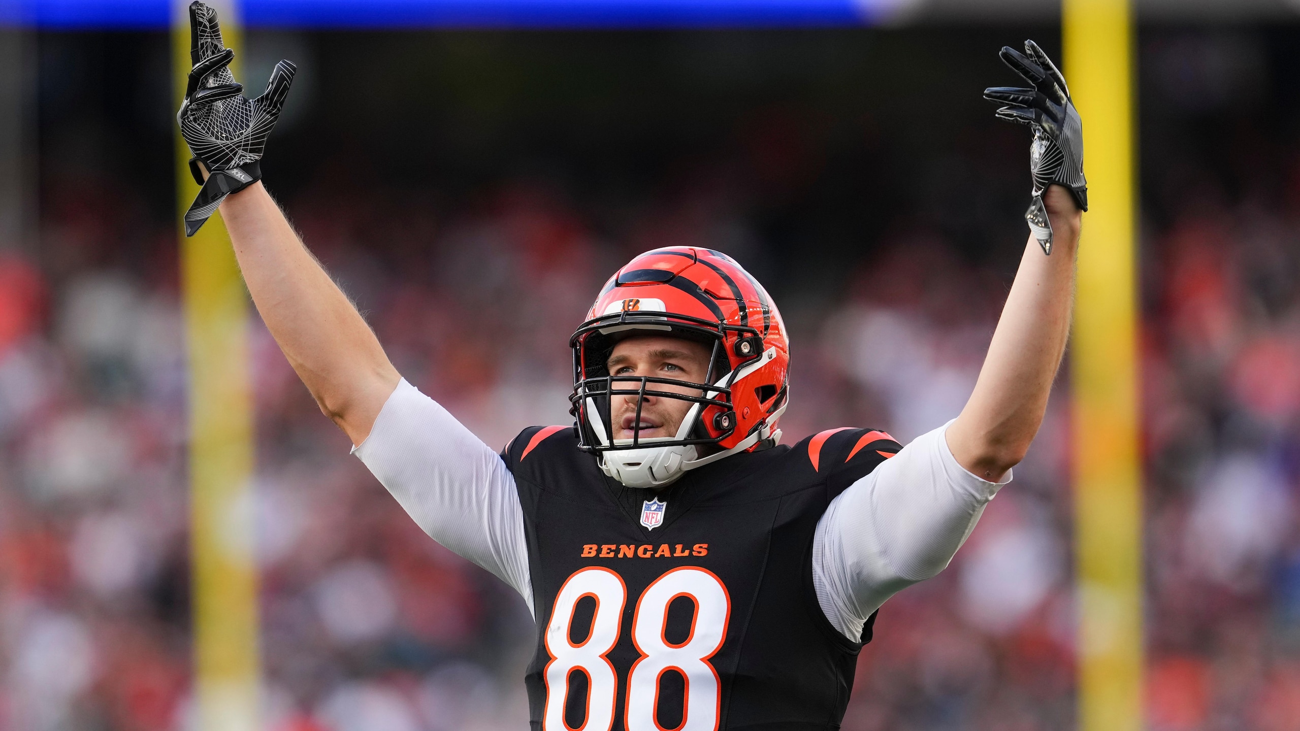 Cardinals Bengals Football