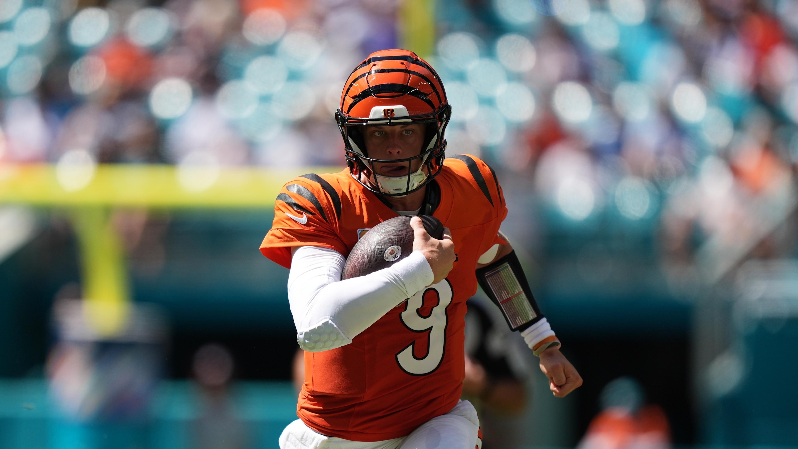 Bengals Football