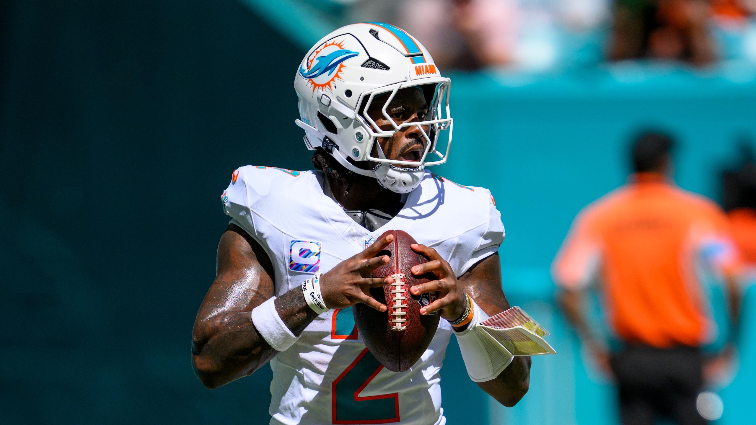 Bengals Dolphins Football