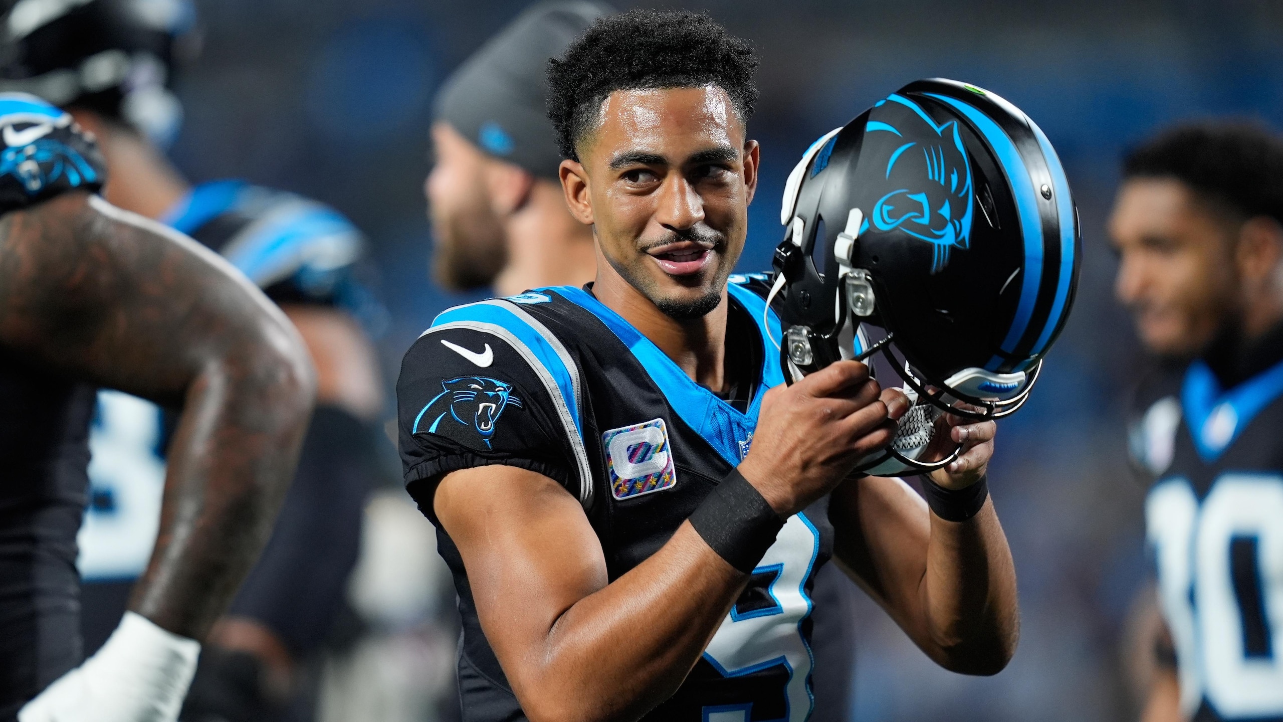 Lions Panthers Football