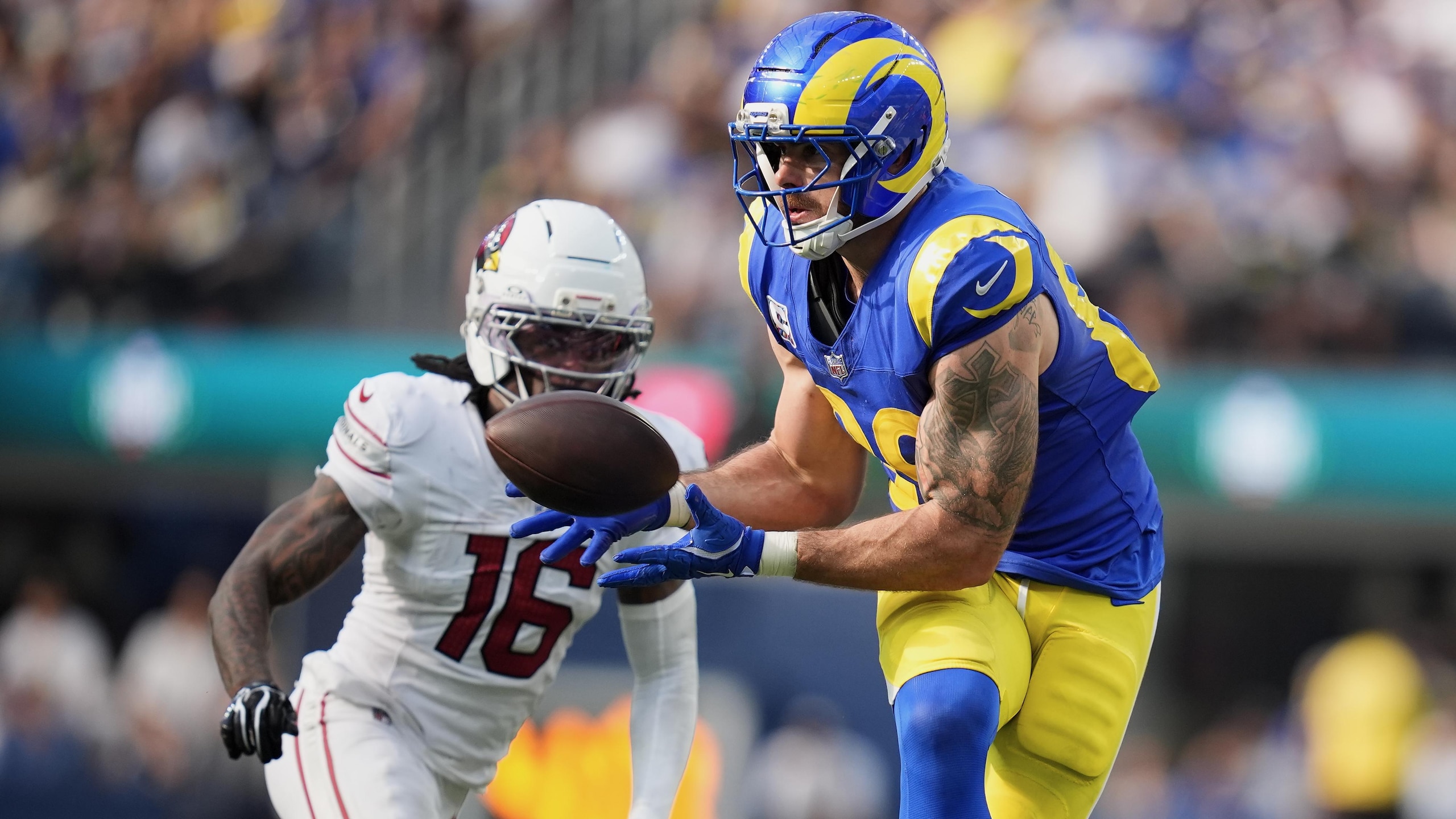 Cardinals Rams Football