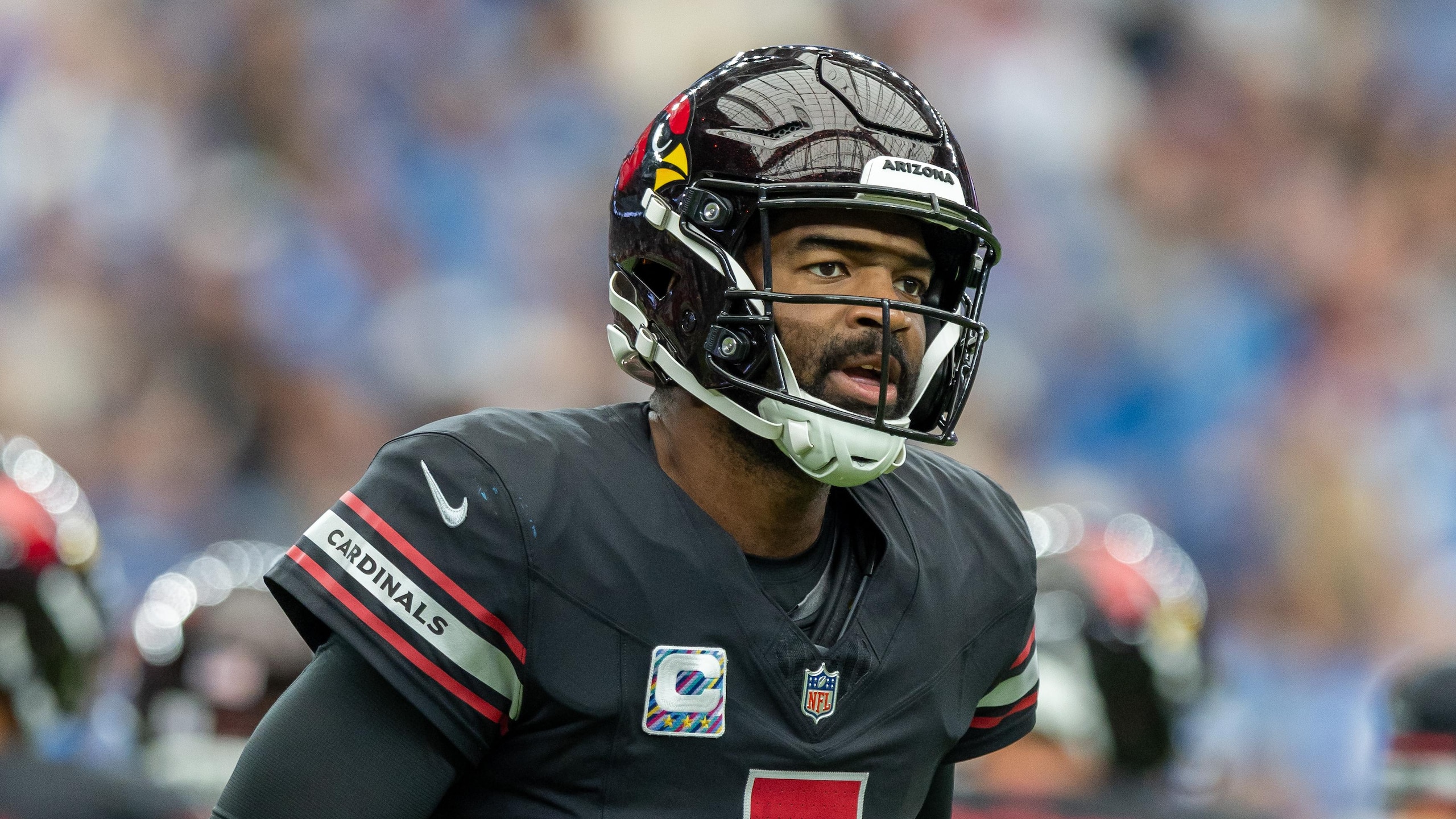 Lions Cardinals Football