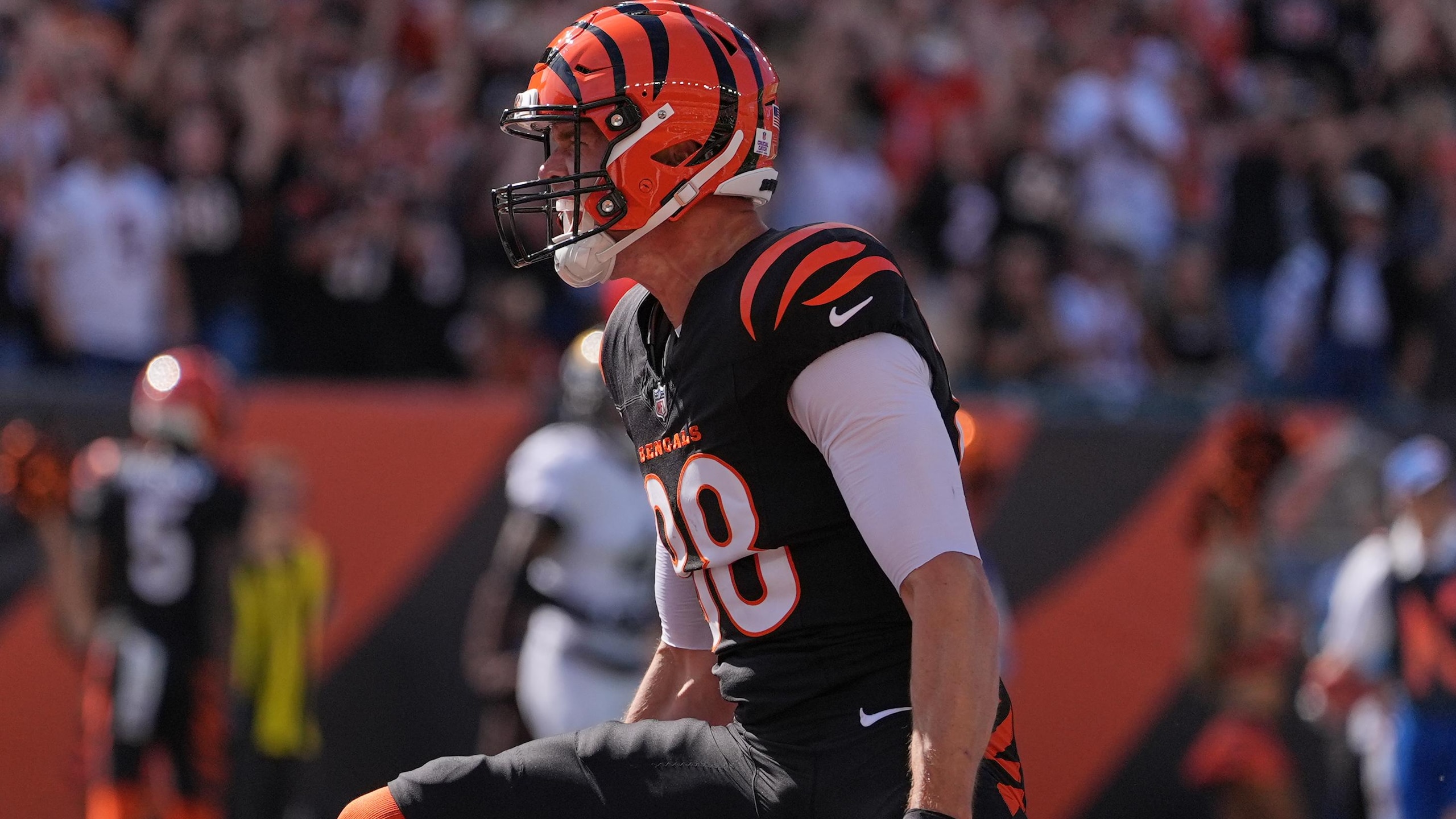 Jaguars Bengals Football