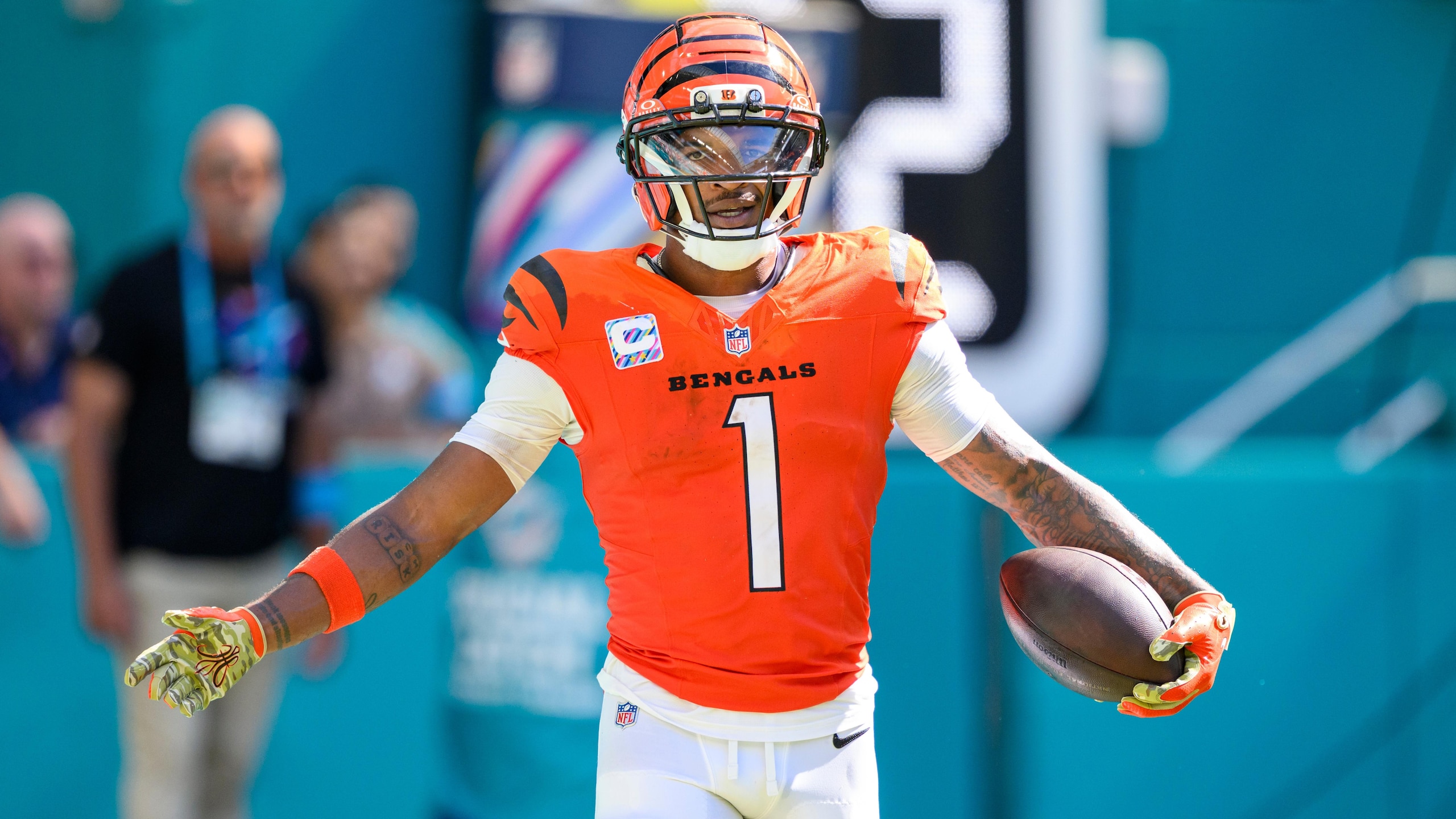 Bengals Dolphins Football
