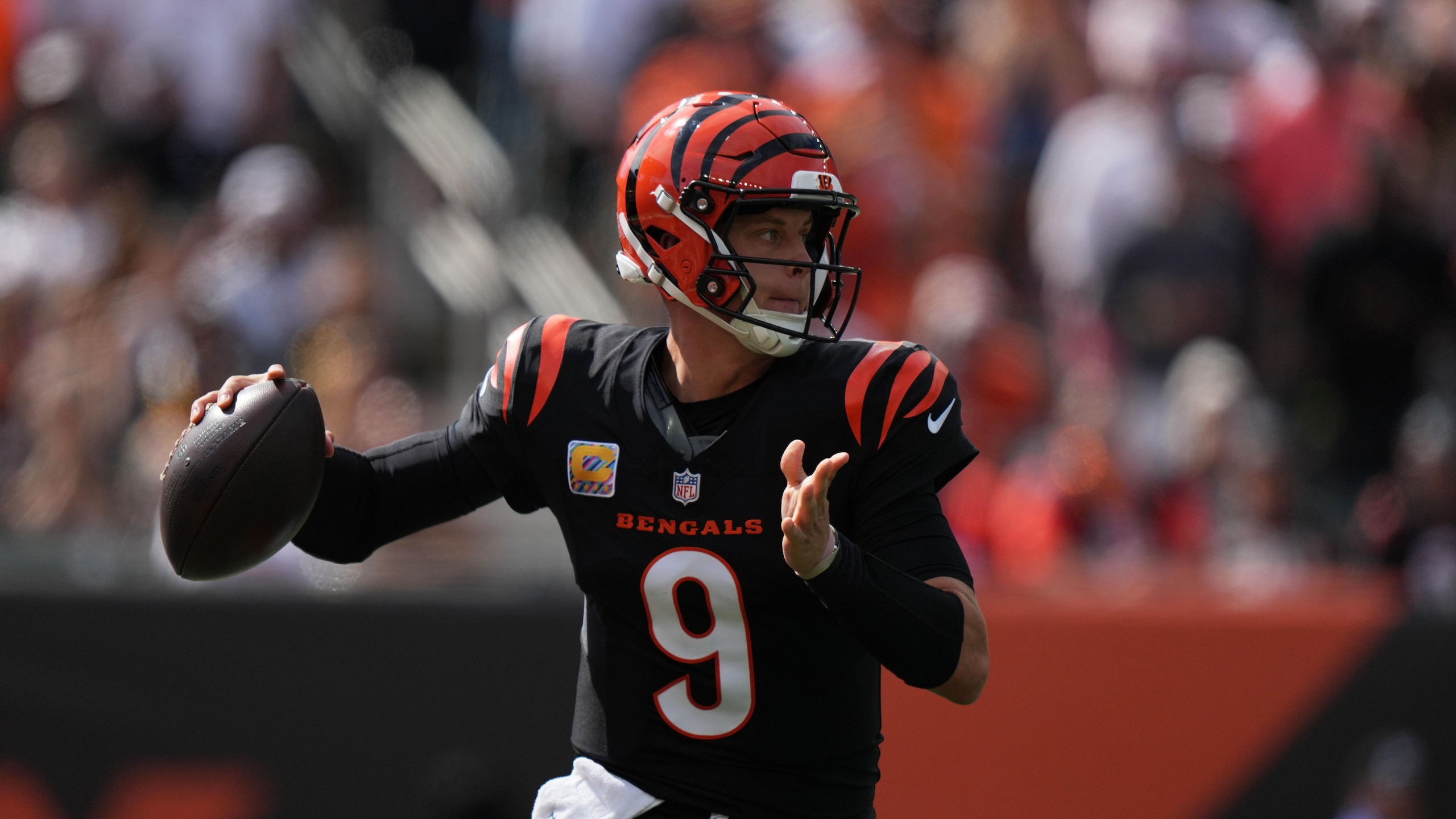 Bengals Football