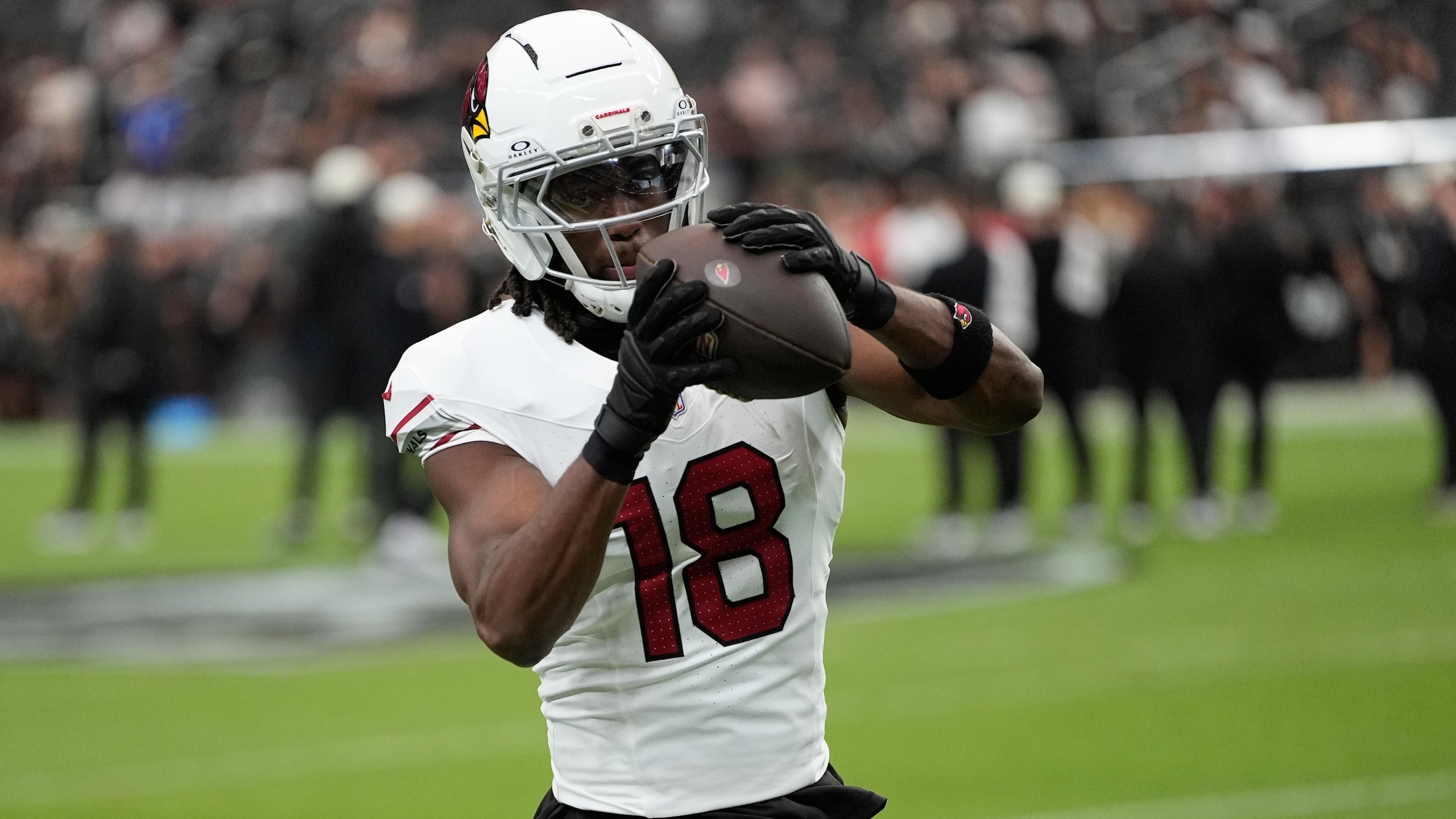 Cardinals Raiders Football