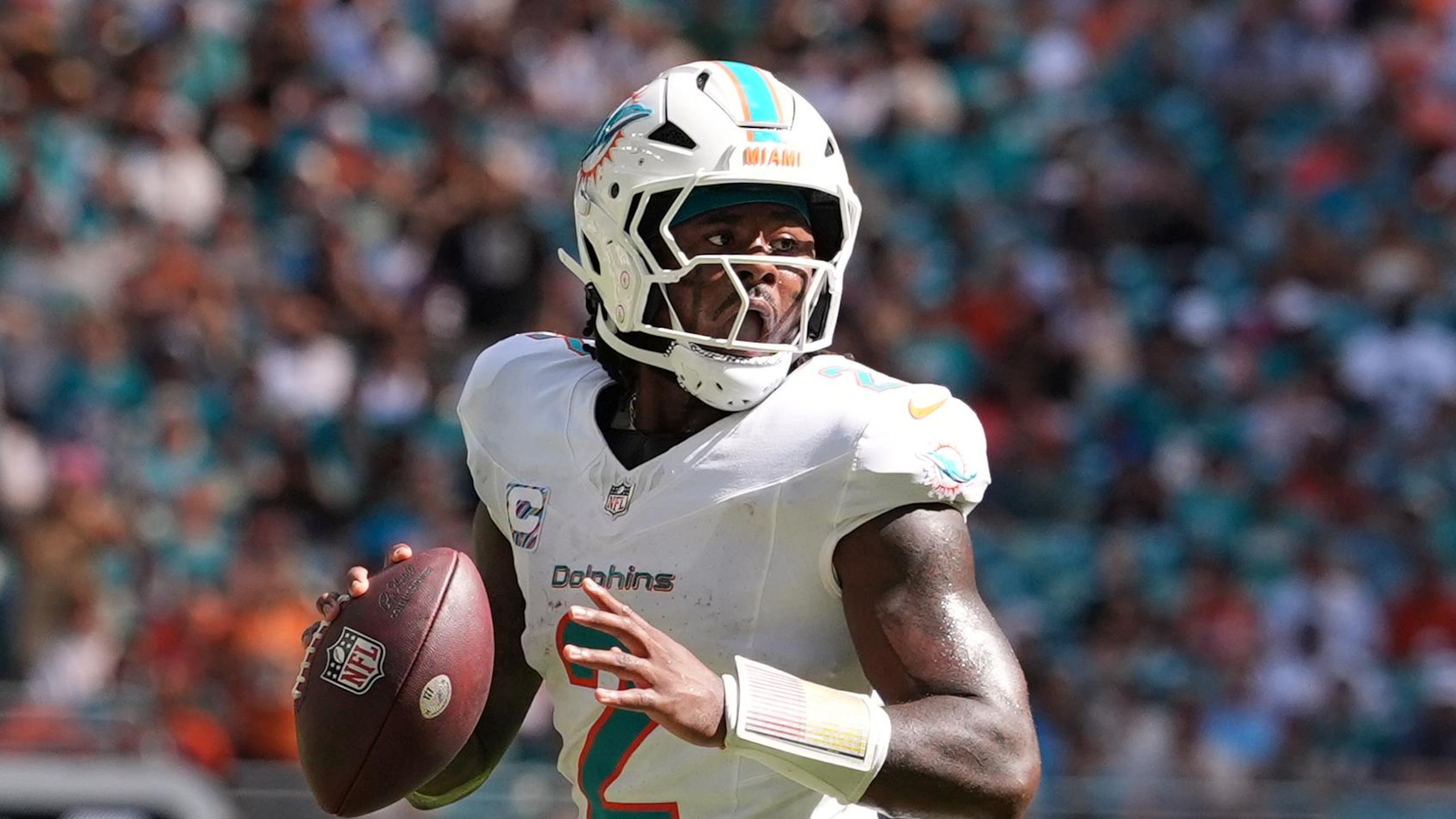 Bengals Dolphins Football
