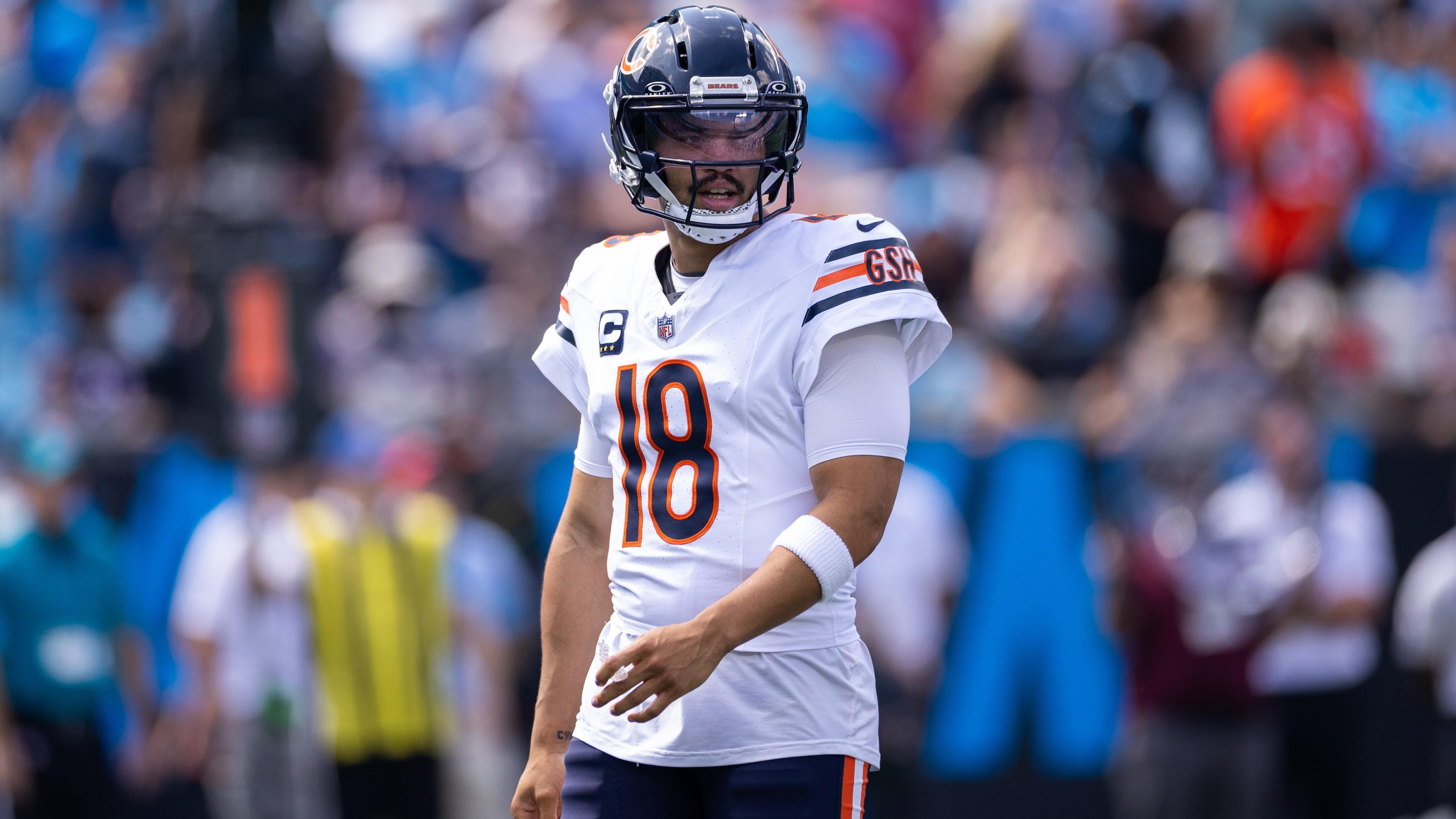 Bears Panthers Football